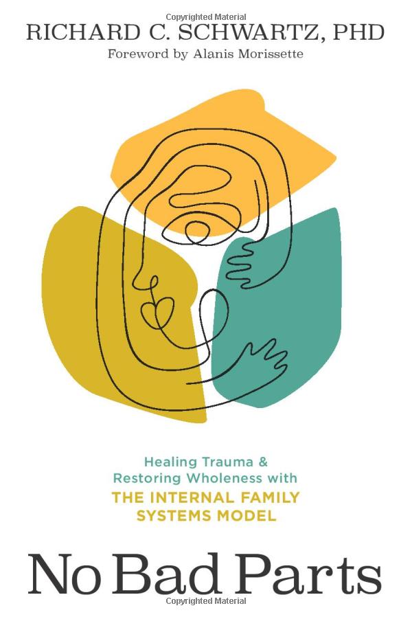 no bad parts: healing trauma and restoring wholeness with the internal family systems model - Ảnh 2