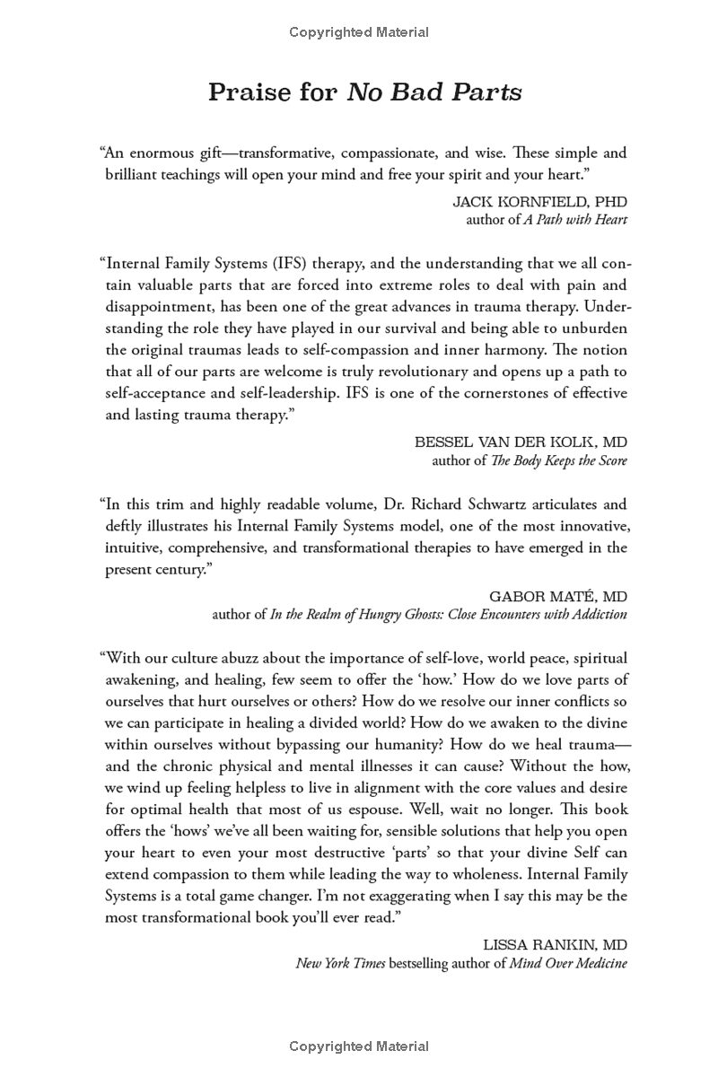 no bad parts: healing trauma and restoring wholeness with the internal family systems model - Ảnh 3