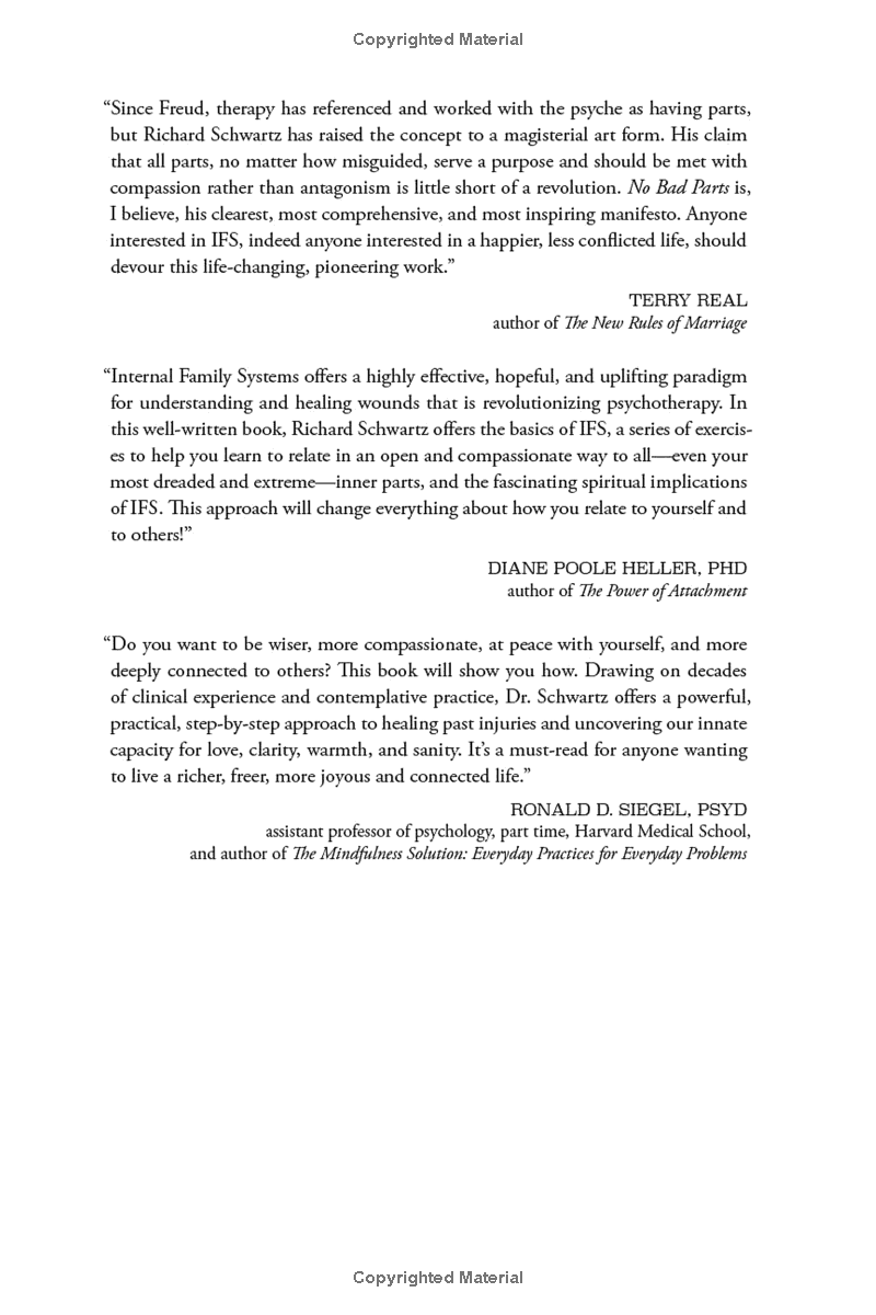 no bad parts: healing trauma and restoring wholeness with the internal family systems model - Ảnh 4