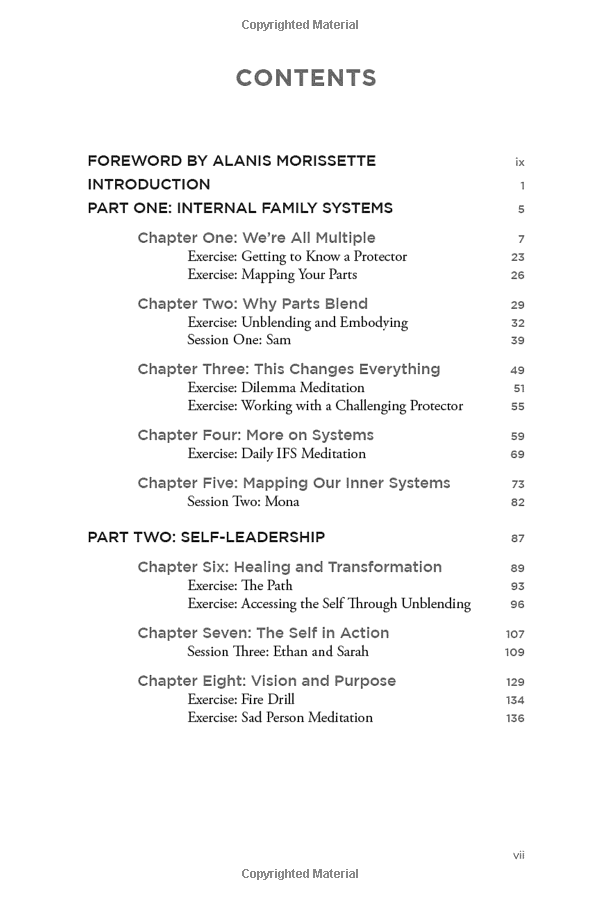 no bad parts: healing trauma and restoring wholeness with the internal family systems model - Ảnh 7