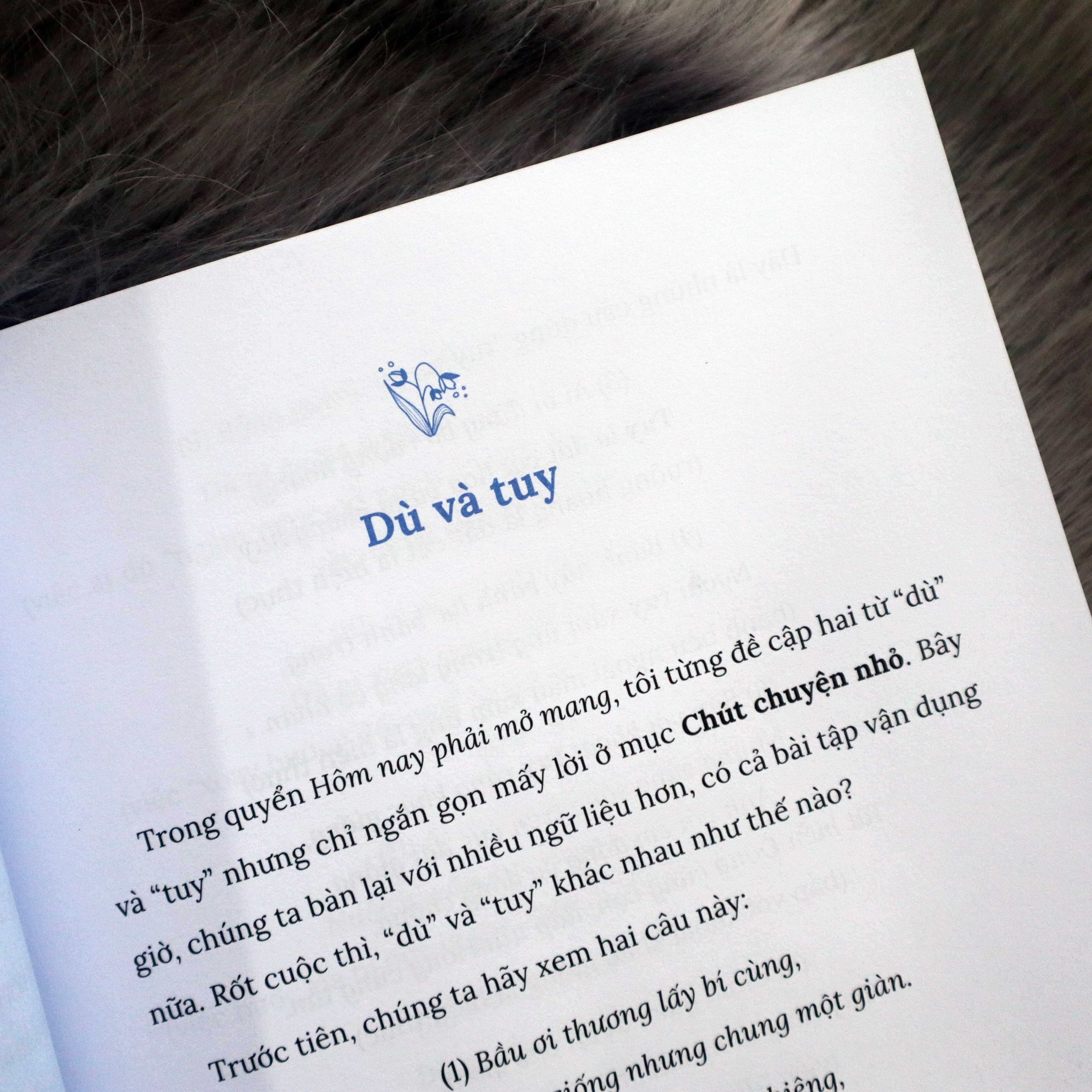 Nỗ Lực Từng Chút, Ngòi Bút Nở Hoa - Ảnh 5