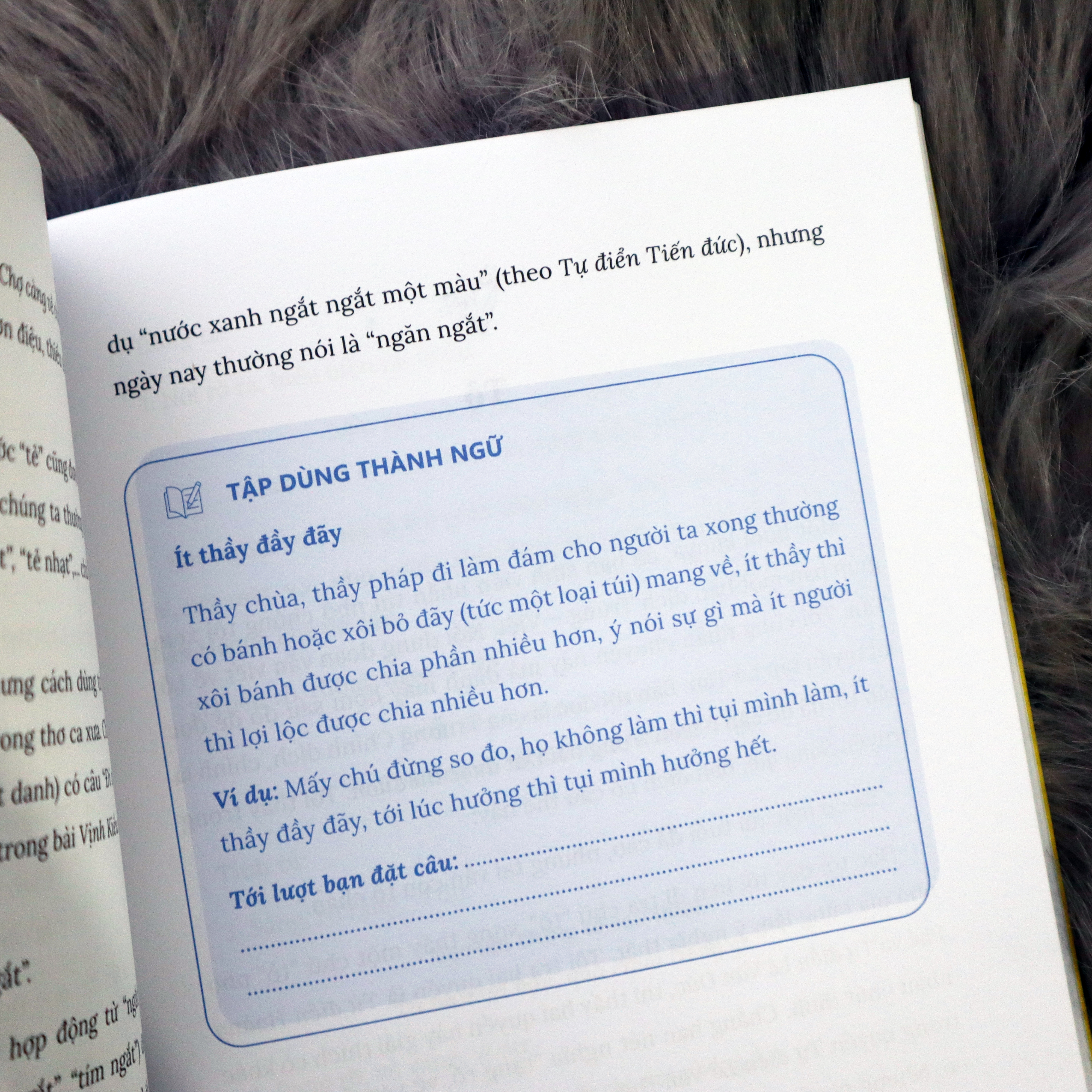 Nỗ Lực Từng Chút, Ngòi Bút Nở Hoa - Ảnh 6