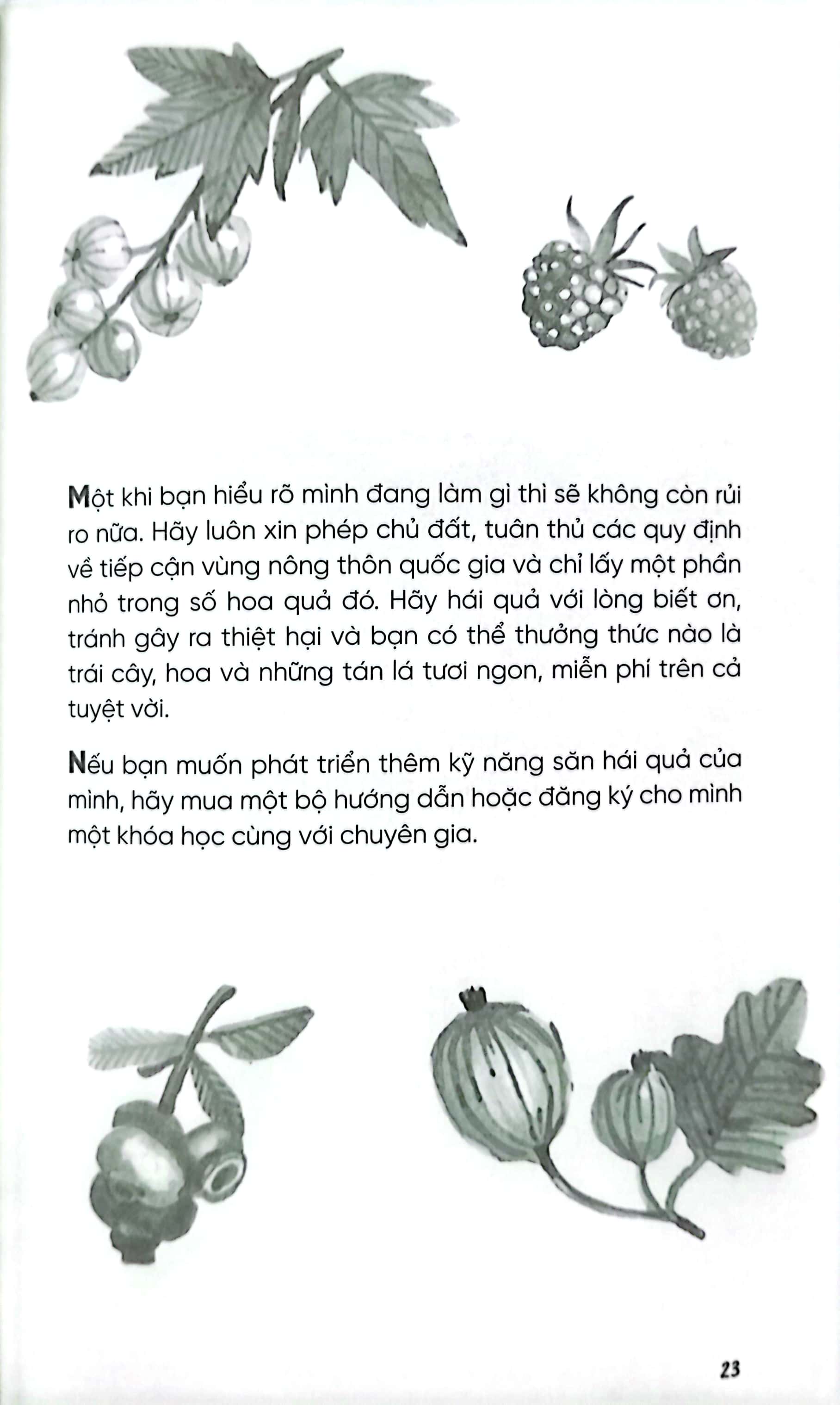 no-spend days - sống "sang" mà không tốn kém (tái bản 2024) - Ảnh 8