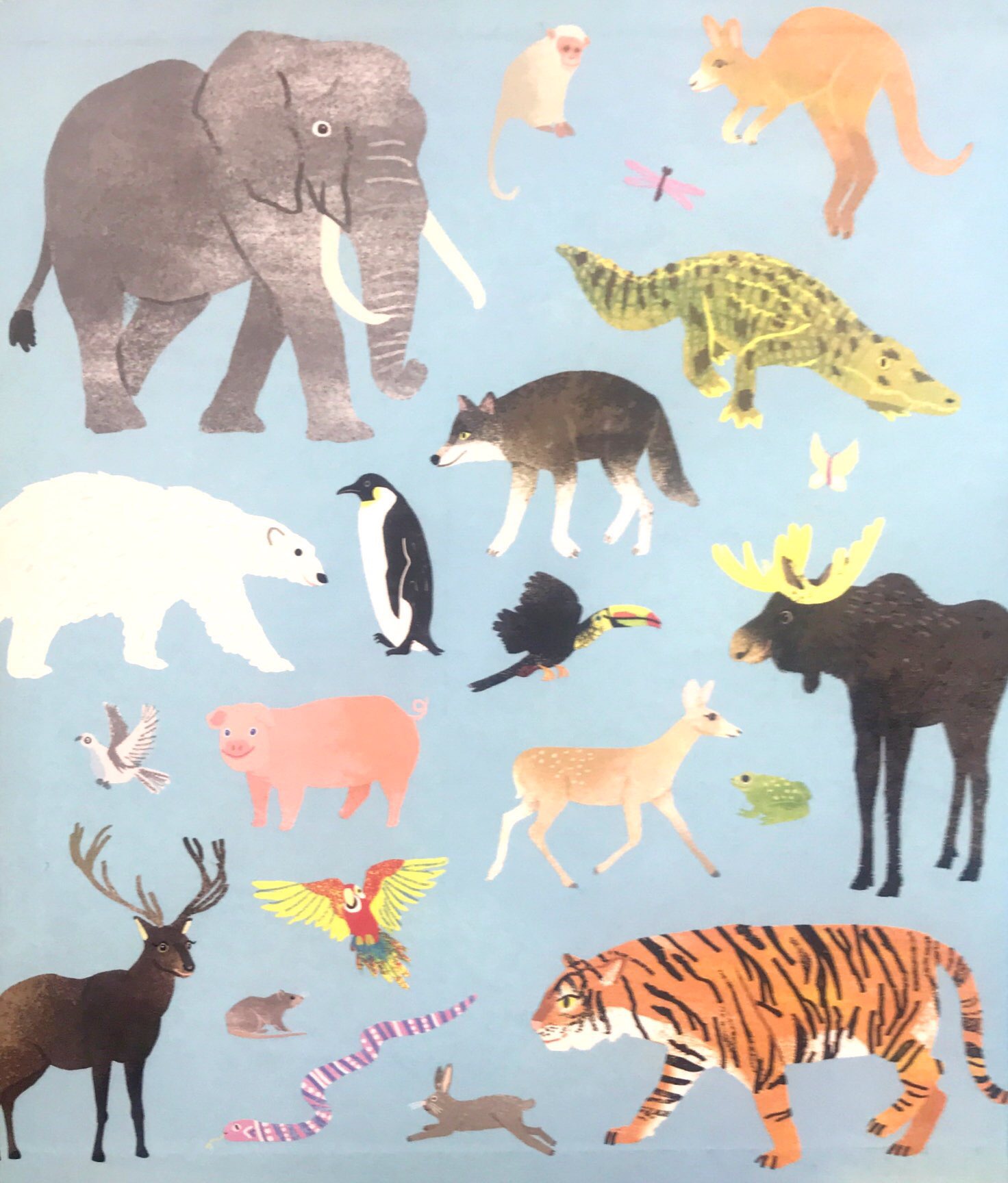 noah's ark - Ảnh 10