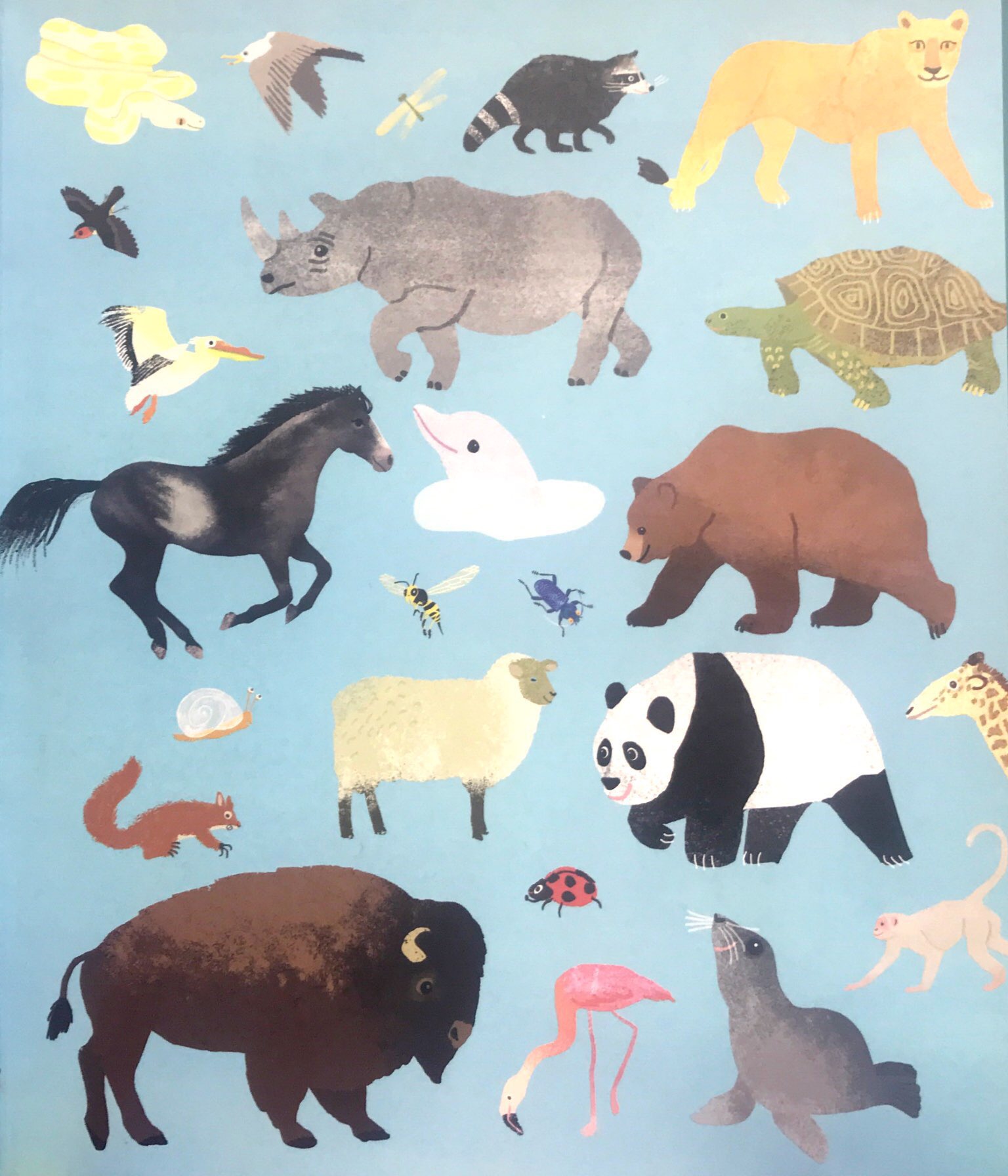 noah's ark - Ảnh 11