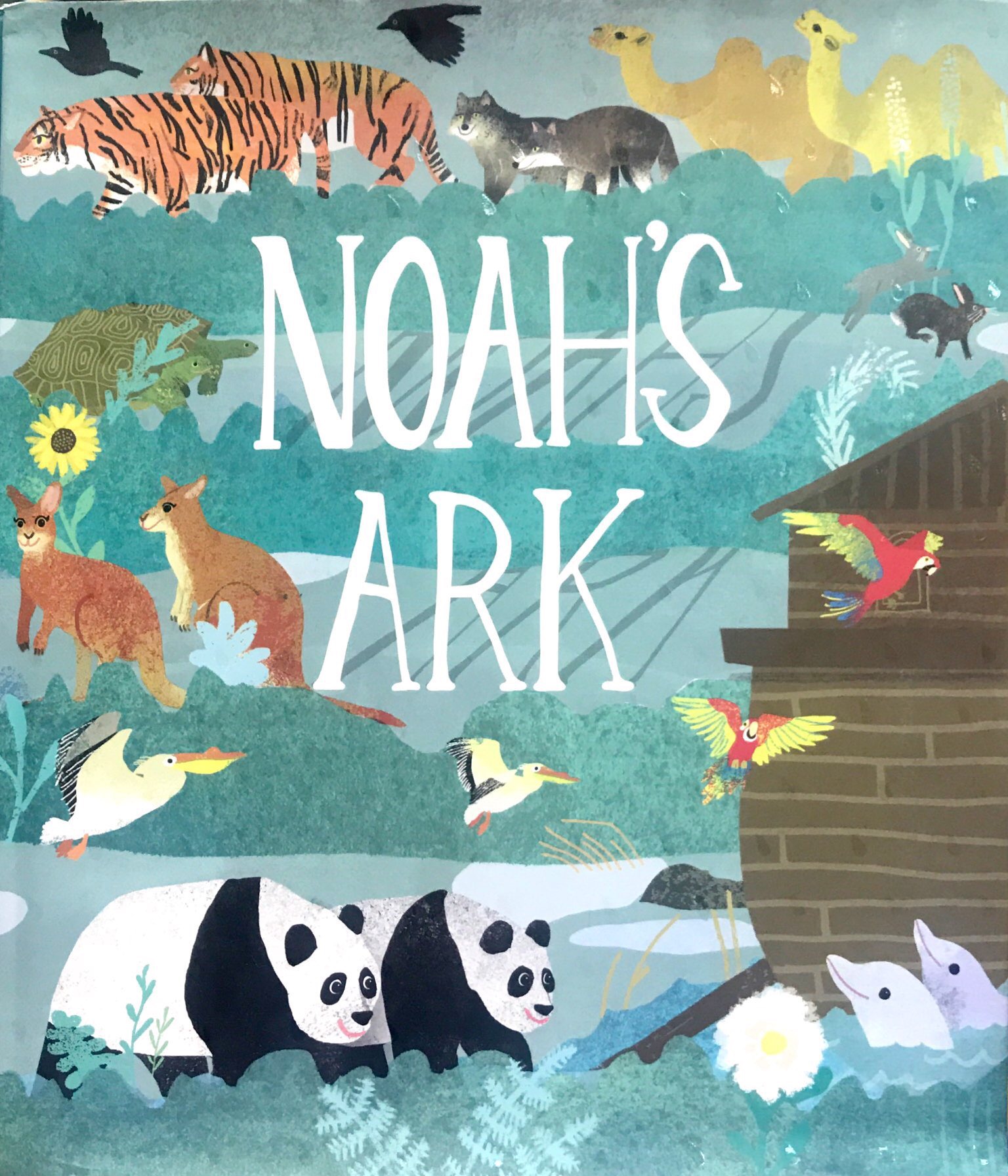 noah's ark - Ảnh 9