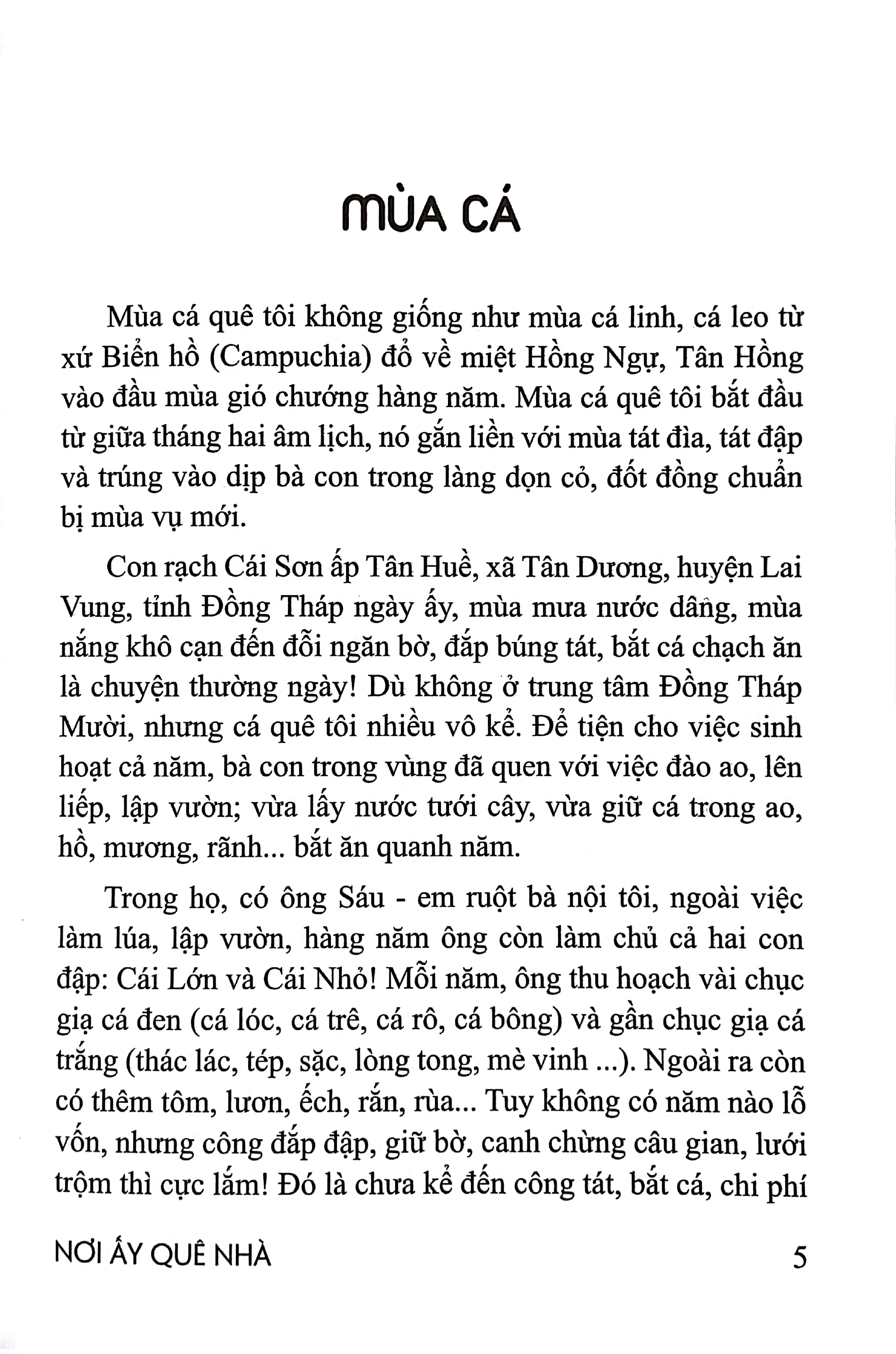 nơi ấy quê nhà - Ảnh 5