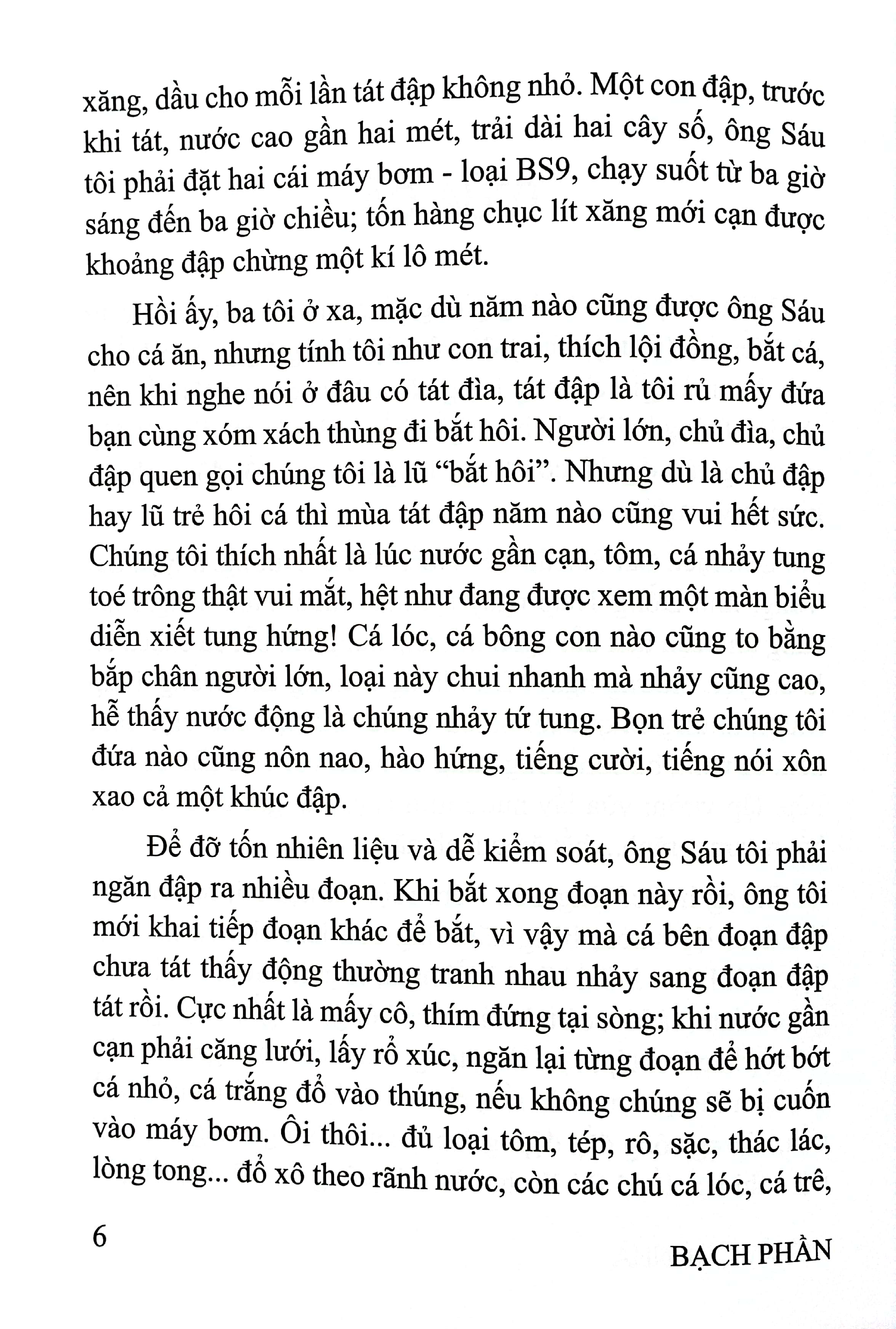 nơi ấy quê nhà - Ảnh 6