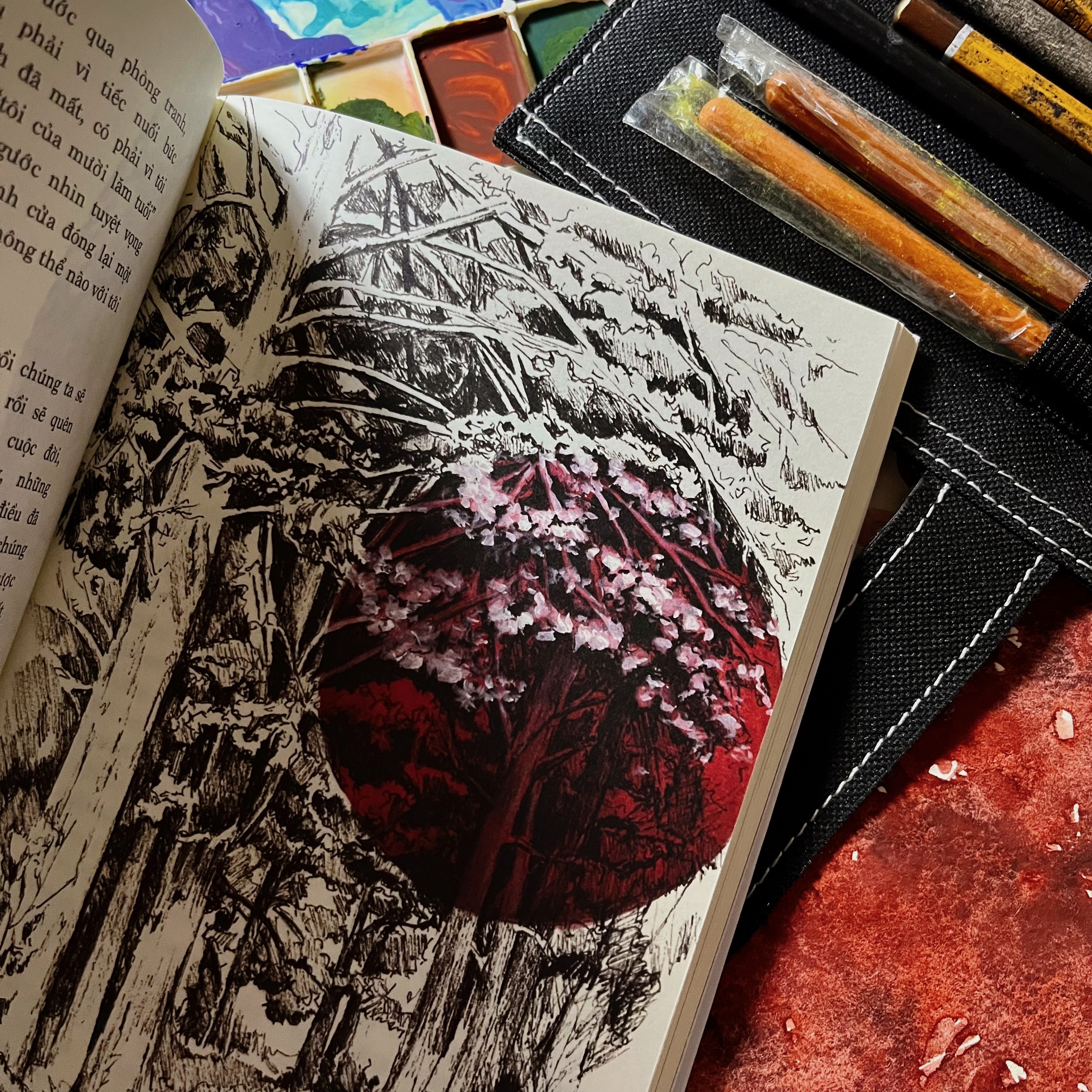 nơi chúng ta thuộc về - Ảnh 2