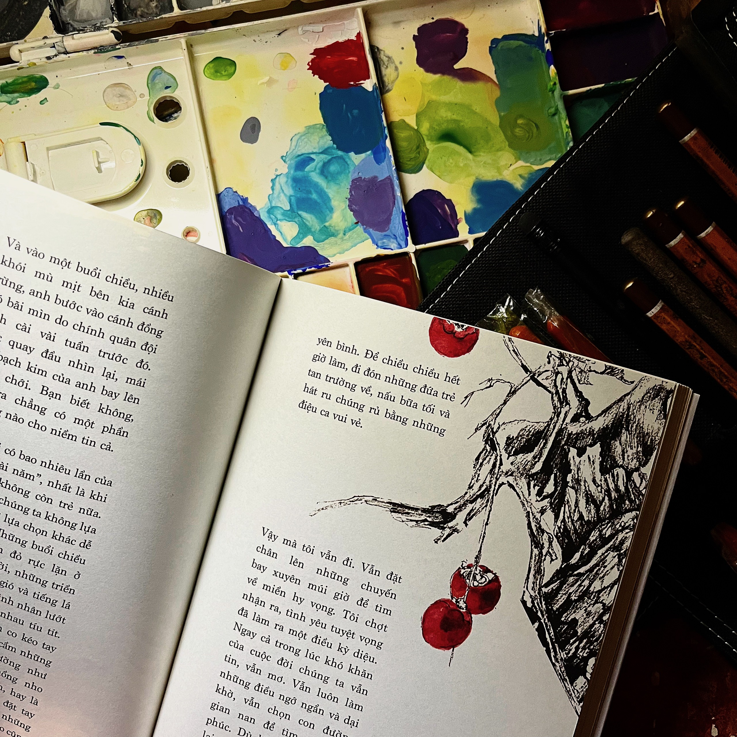 nơi chúng ta thuộc về - Ảnh 5