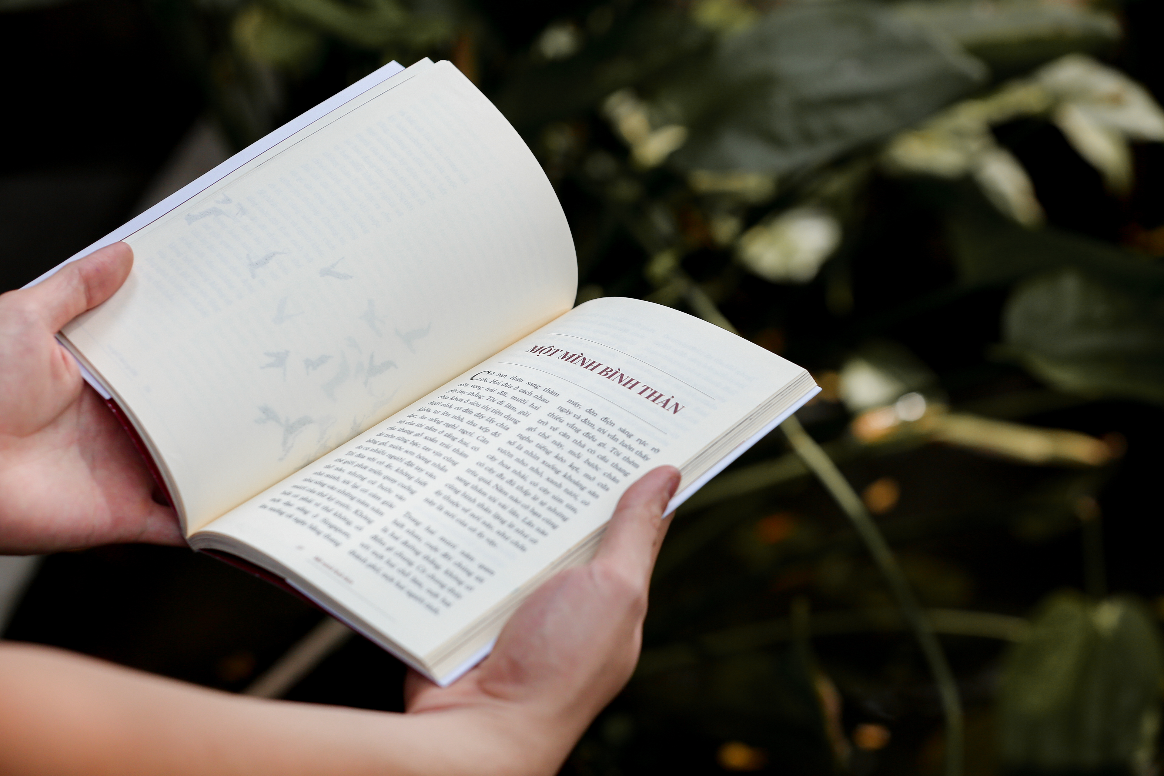 nơi chúng ta thuộc về - Ảnh 6