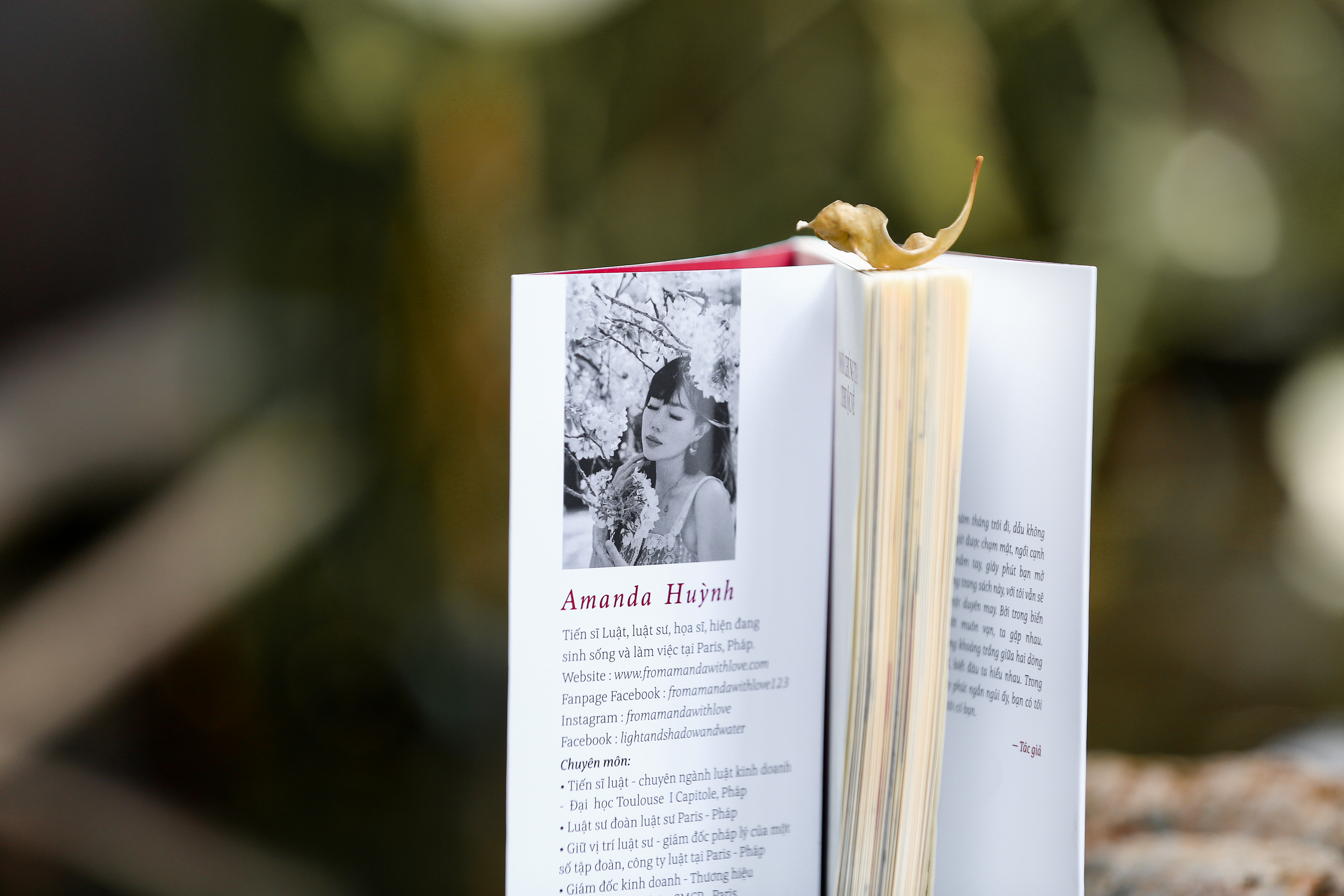 nơi chúng ta thuộc về - Ảnh 8