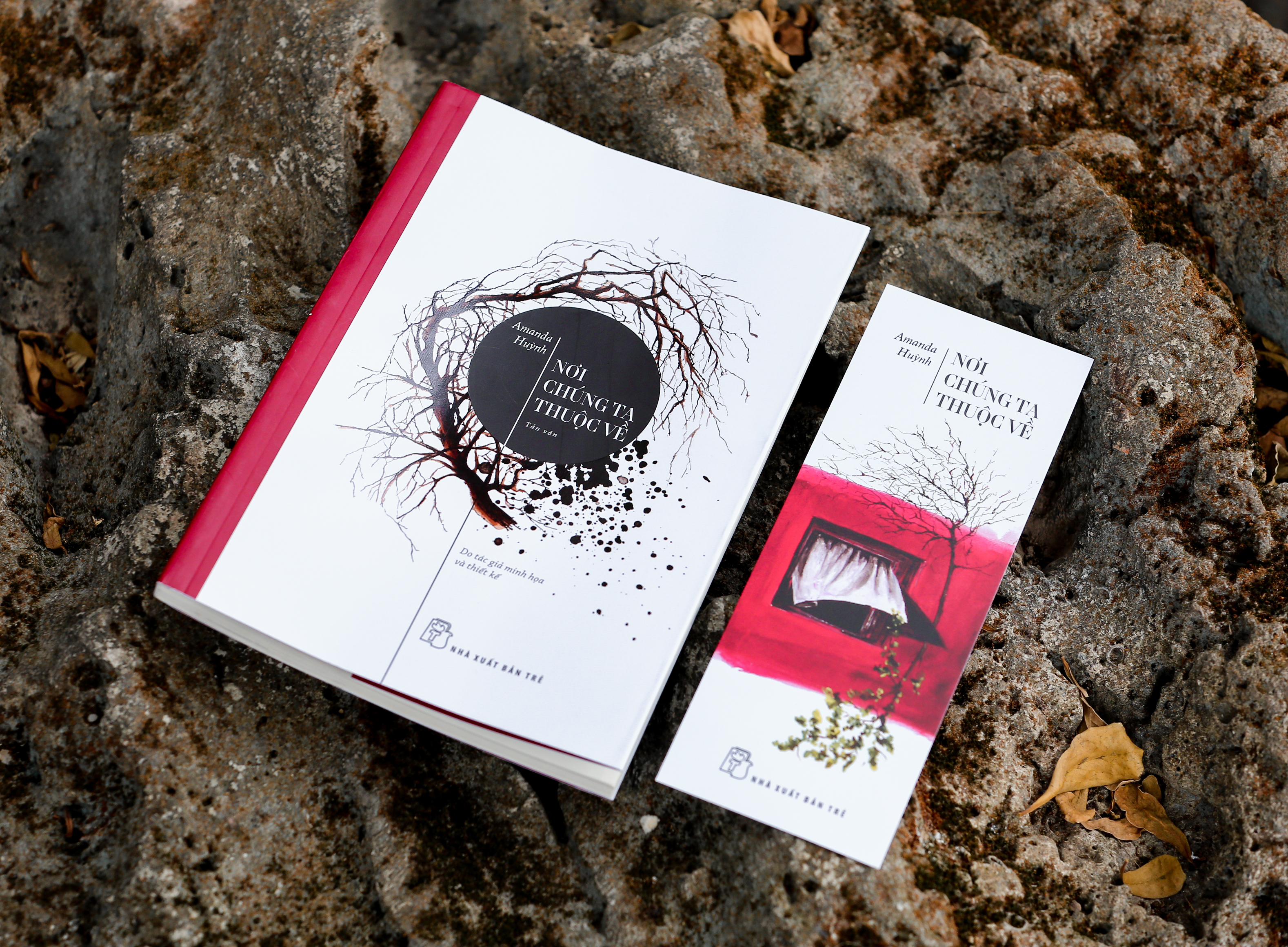 nơi chúng ta thuộc về - Ảnh 9