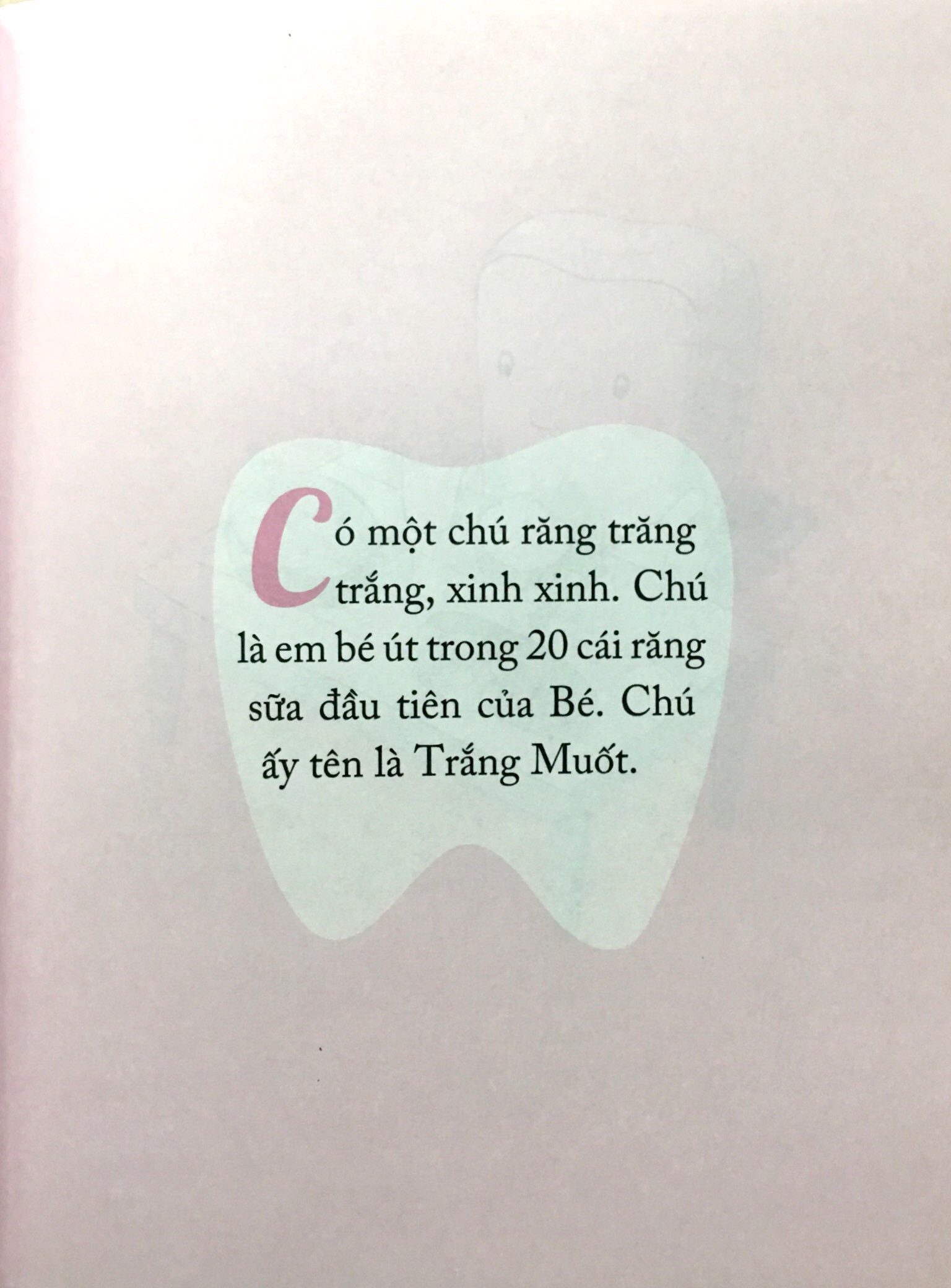 nói sao cho con hiểu: vì sao không nên ăn kẹo trước khi đi ngủ - Ảnh 8