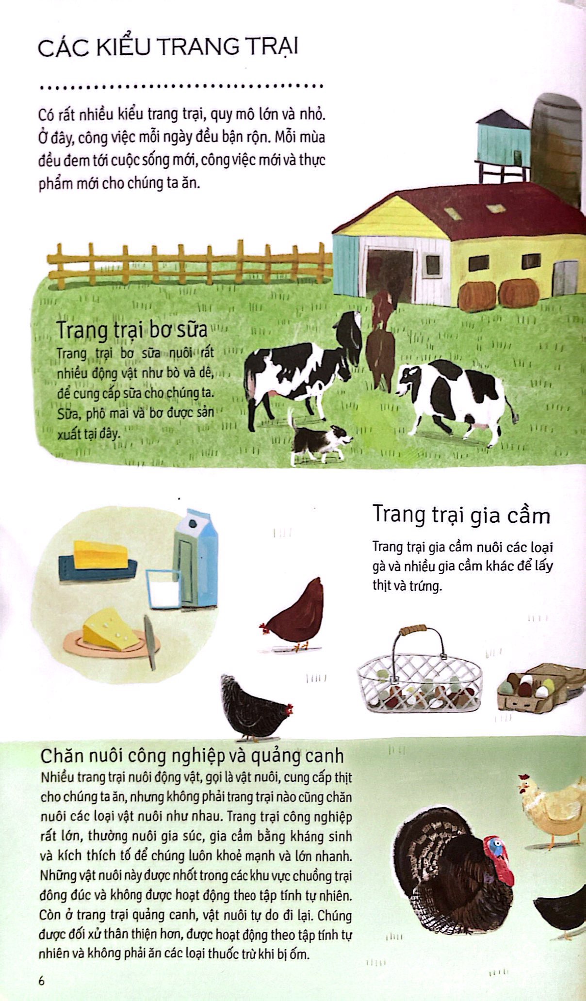 nông trại nuôi sống chúng ta - Ảnh 6