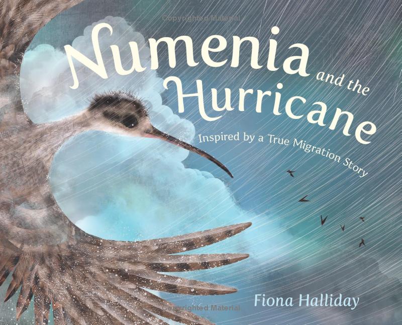 numeria and the hurricane - inspired by a true migration story - Ảnh 2