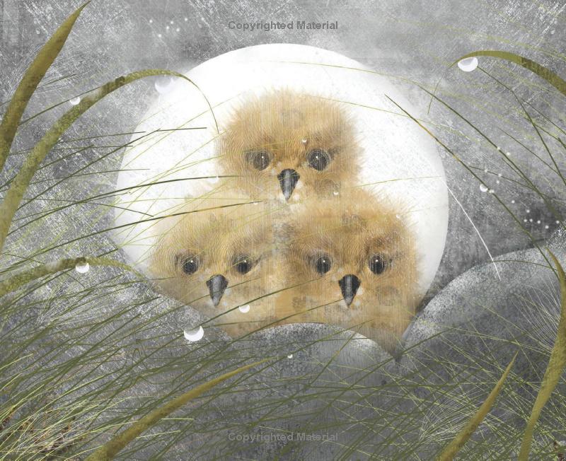 numeria and the hurricane - inspired by a true migration story - Ảnh 6