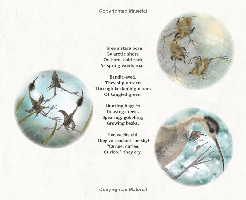 numeria and the hurricane - inspired by a true migration story - Ảnh 7