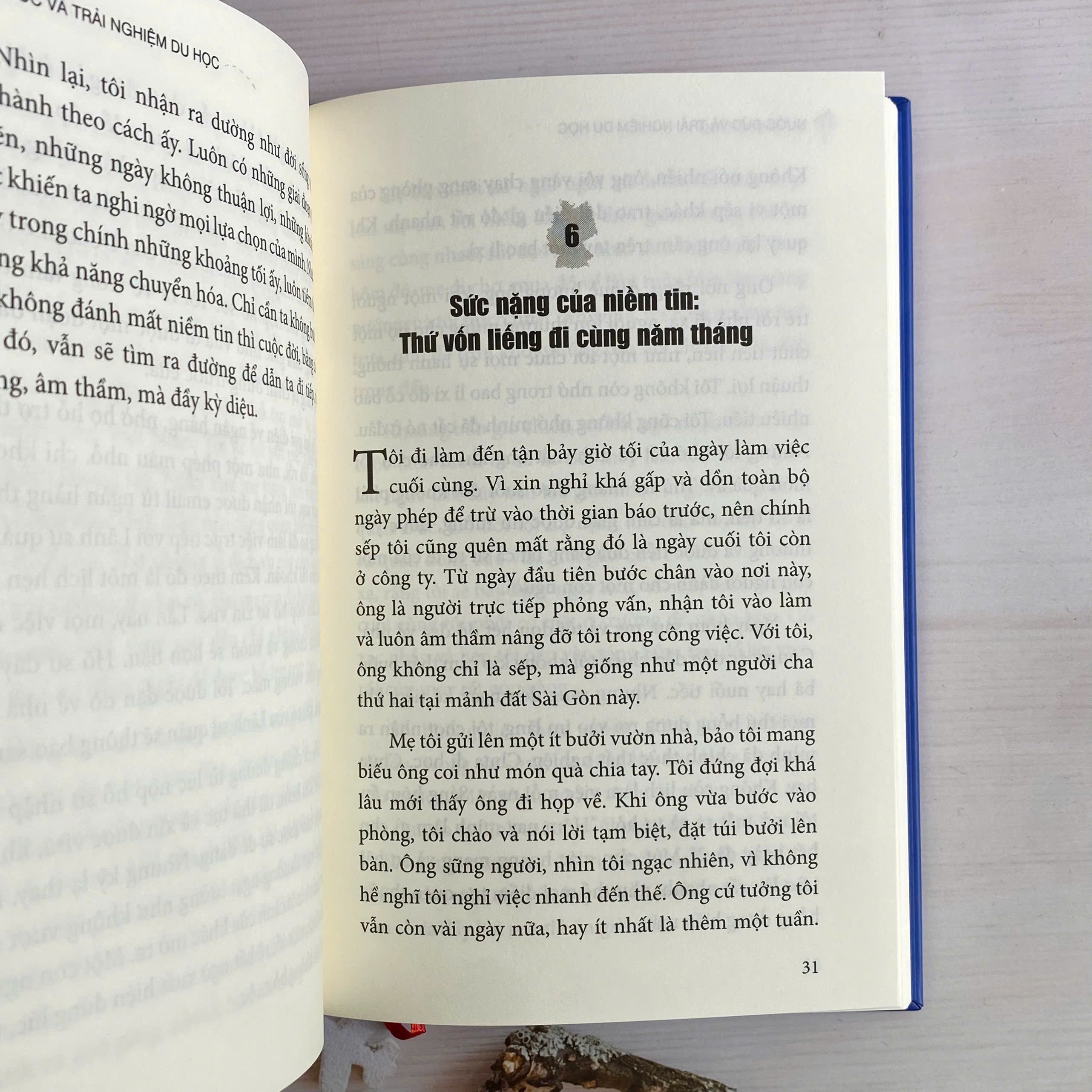 Nước Đức Và Trải Nghiệm Du Học - Bìa Cứng - Ảnh 5