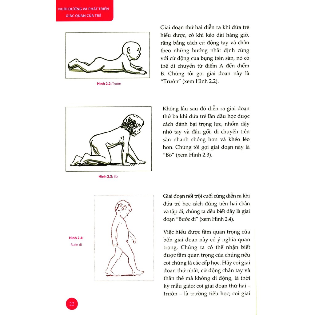 nuôi dưỡng và phát triển giác quan của trẻ - một chỉ dẫn cần thiết để đánh giá và phát triển bé yêu trong những năm đầu đời (tái bản 2020) - Ảnh 6