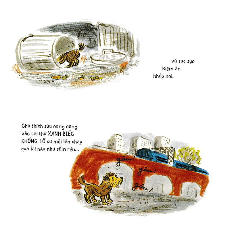 ổ bọ chét - Ảnh 4