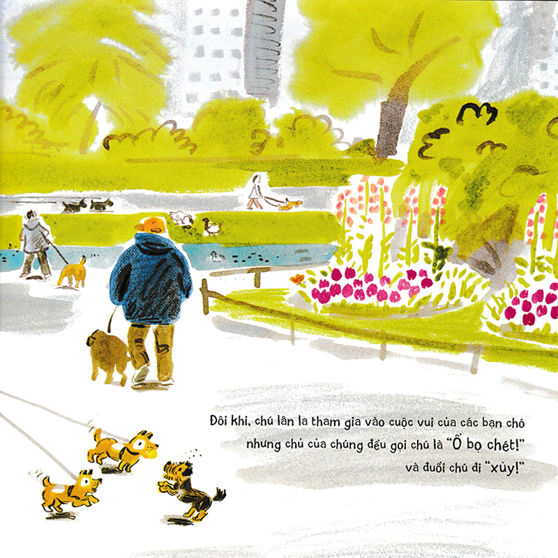 ổ bọ chét - Ảnh 6