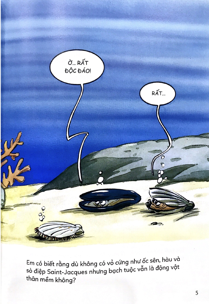 ô kìa! em có biết? bạch tuộc - Ảnh 5