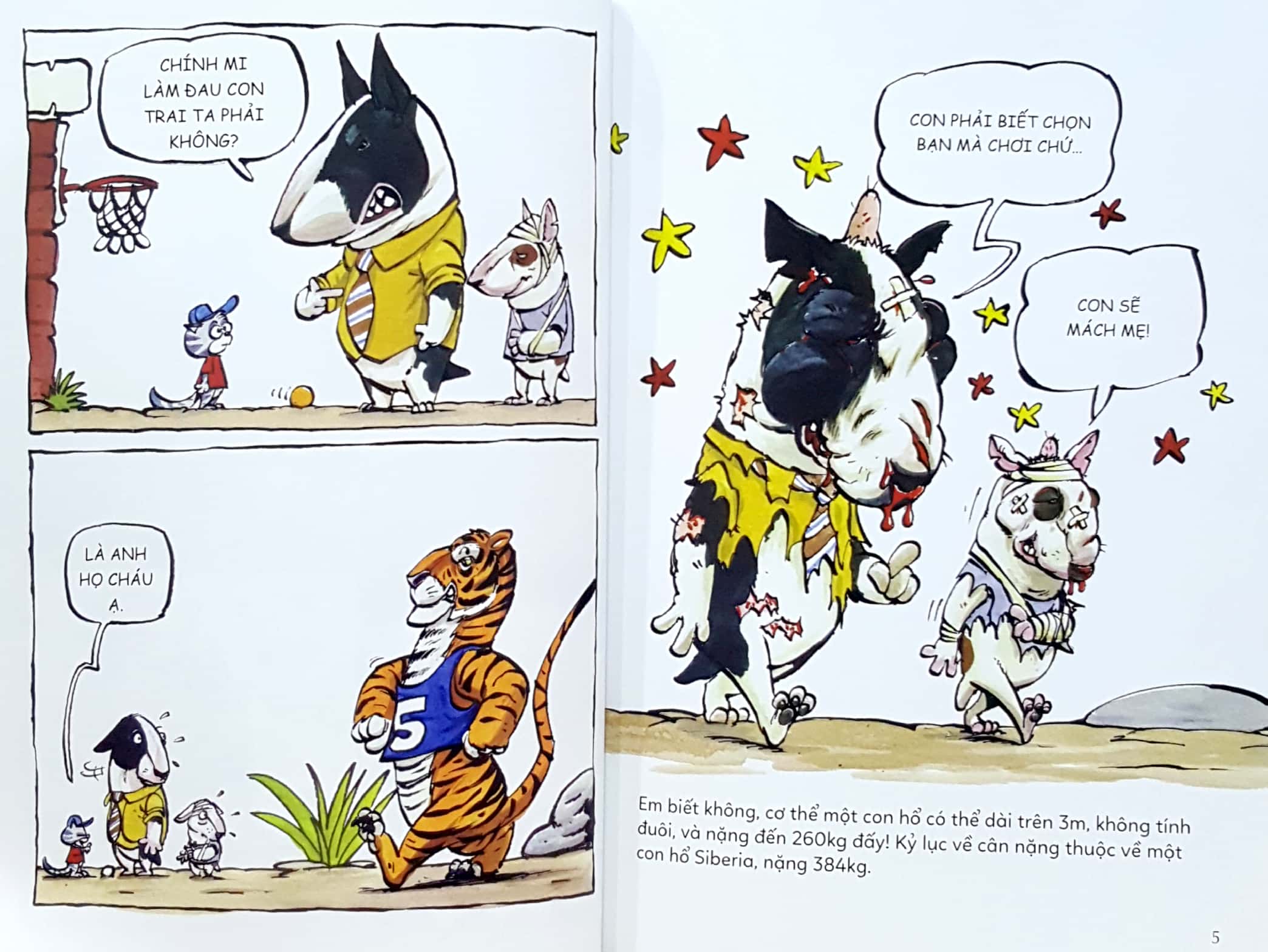 ô kìa! em có biết? hổ - Ảnh 3