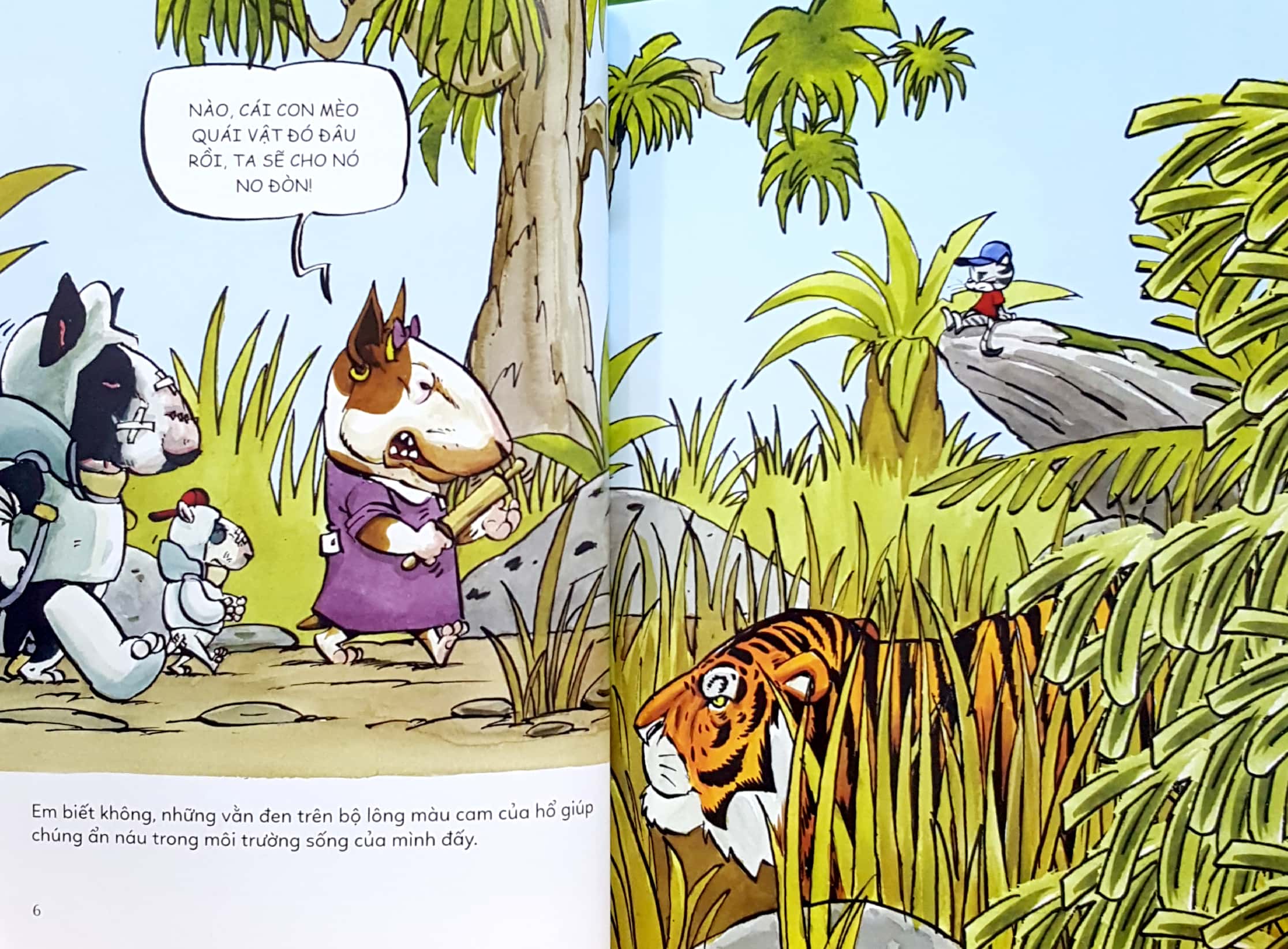 ô kìa! em có biết? hổ - Ảnh 4