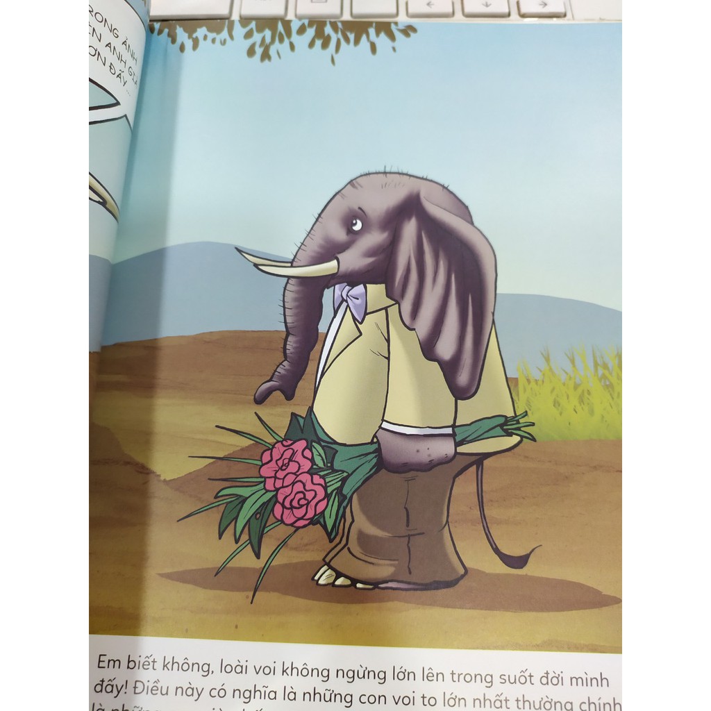 ô kìa! em có biết? voi - Ảnh 3