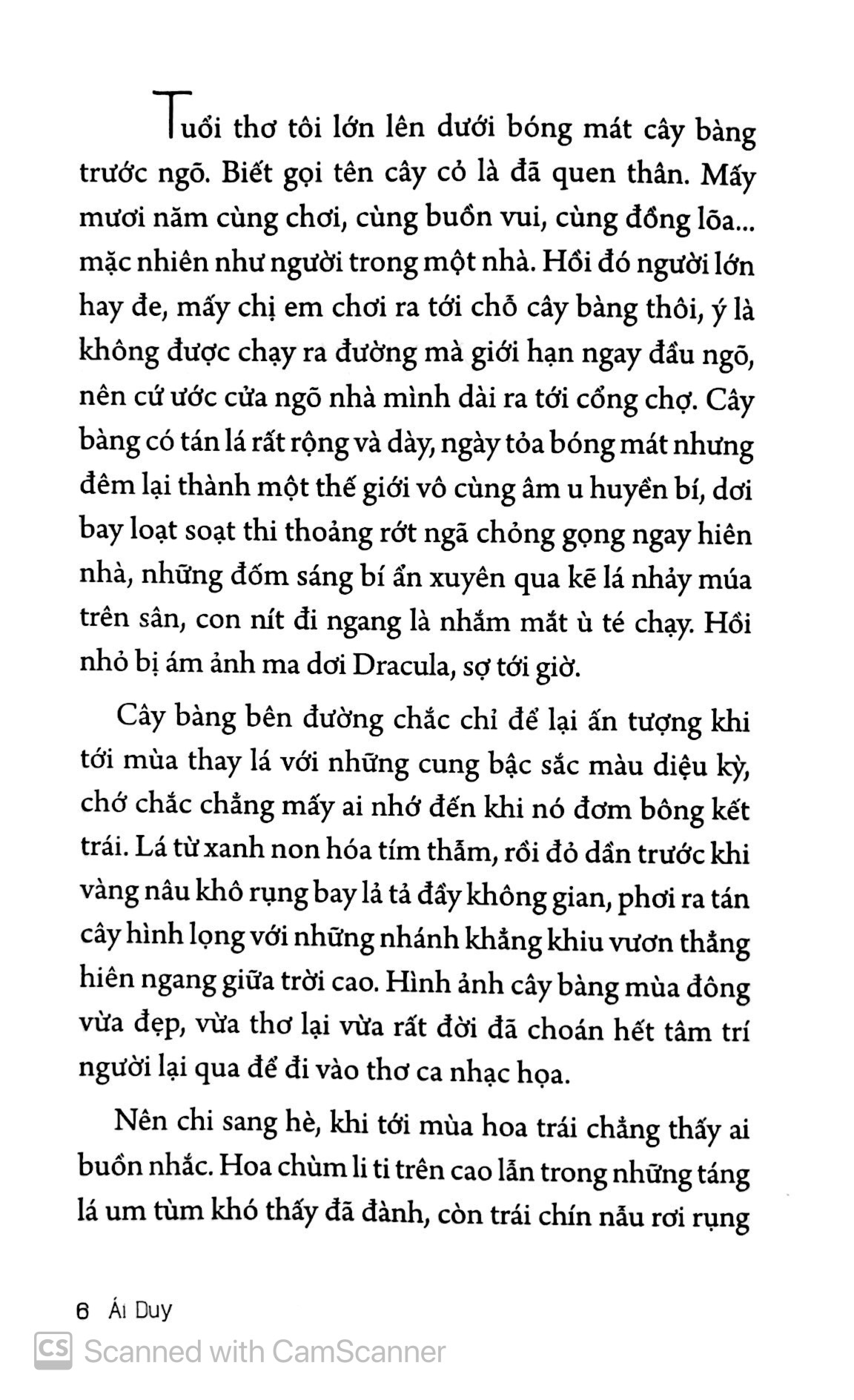 ở nha trang sóng tựa như mây - Ảnh 4