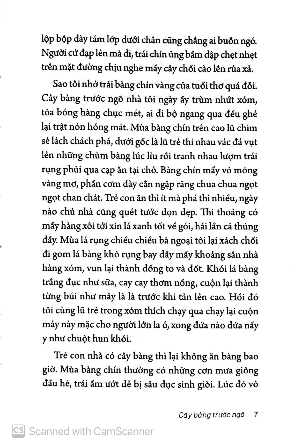 ở nha trang sóng tựa như mây - Ảnh 5