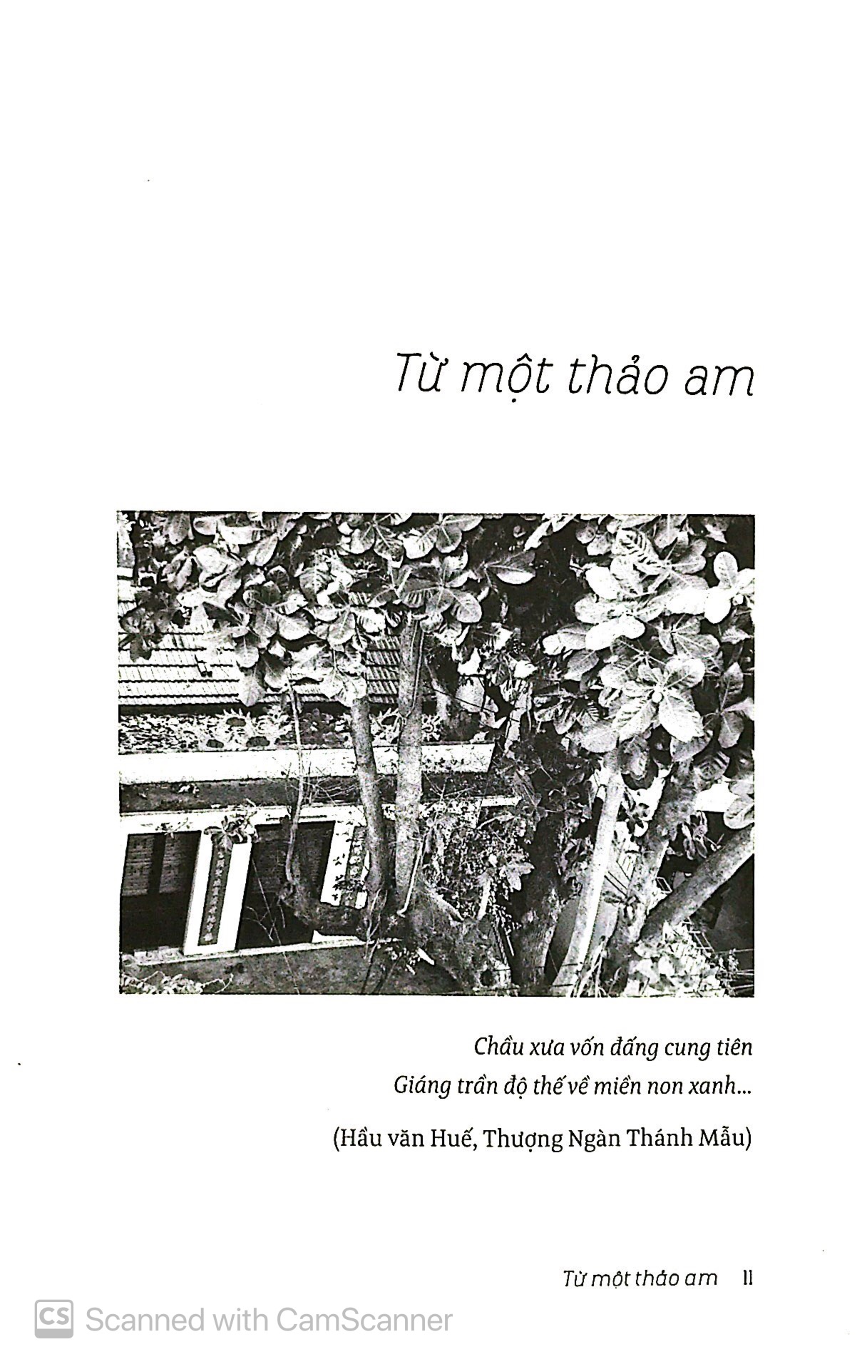 ở nha trang sóng tựa như mây - Ảnh 9