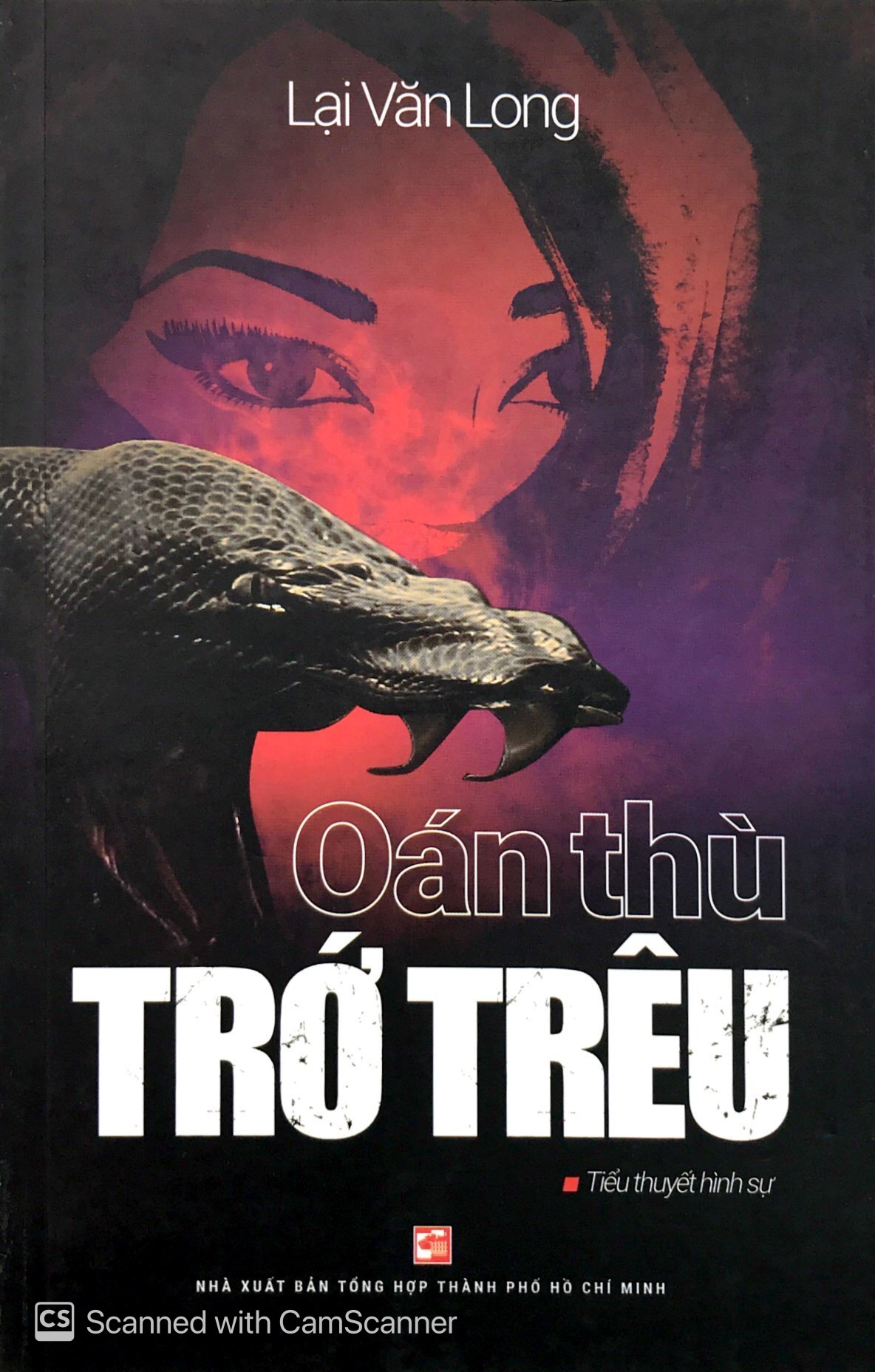 oán thù trớ trêu - Ảnh 2