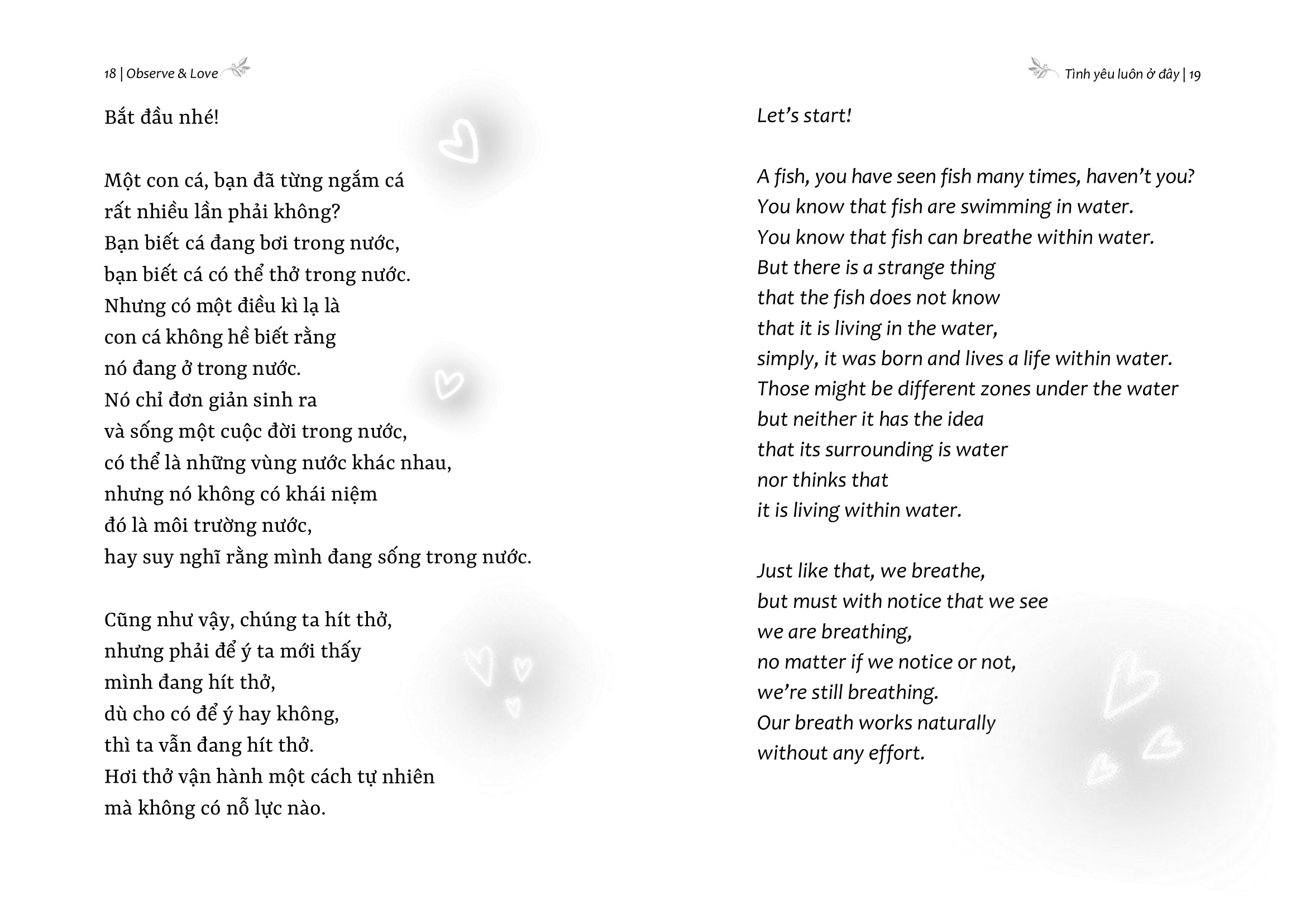 Observe And Love - Tình Yêu Luôn Ở Đây - Phiên Bản Song Ngữ - Ảnh 11