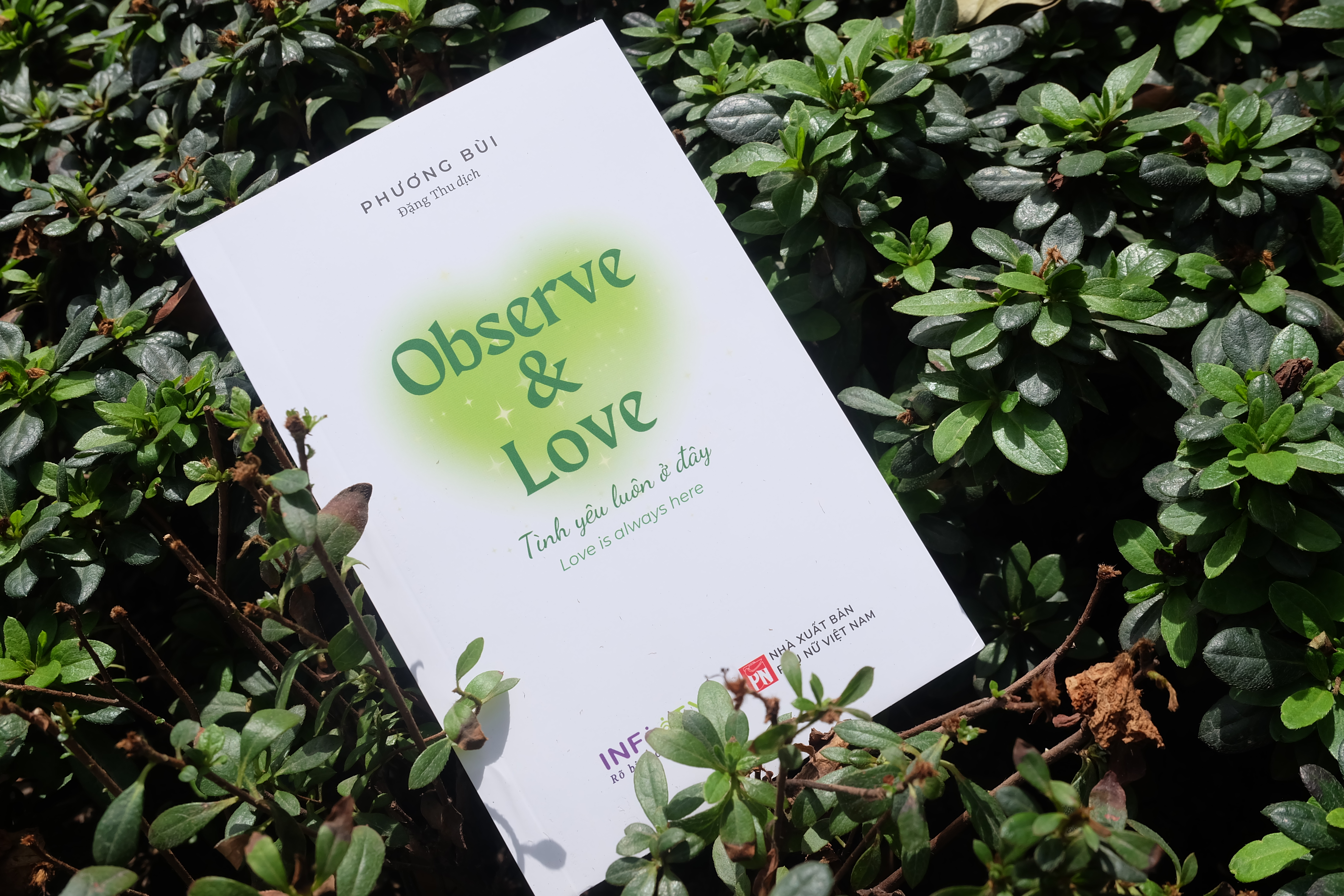 Observe And Love - Tình Yêu Luôn Ở Đây - Phiên Bản Song Ngữ - Ảnh 3