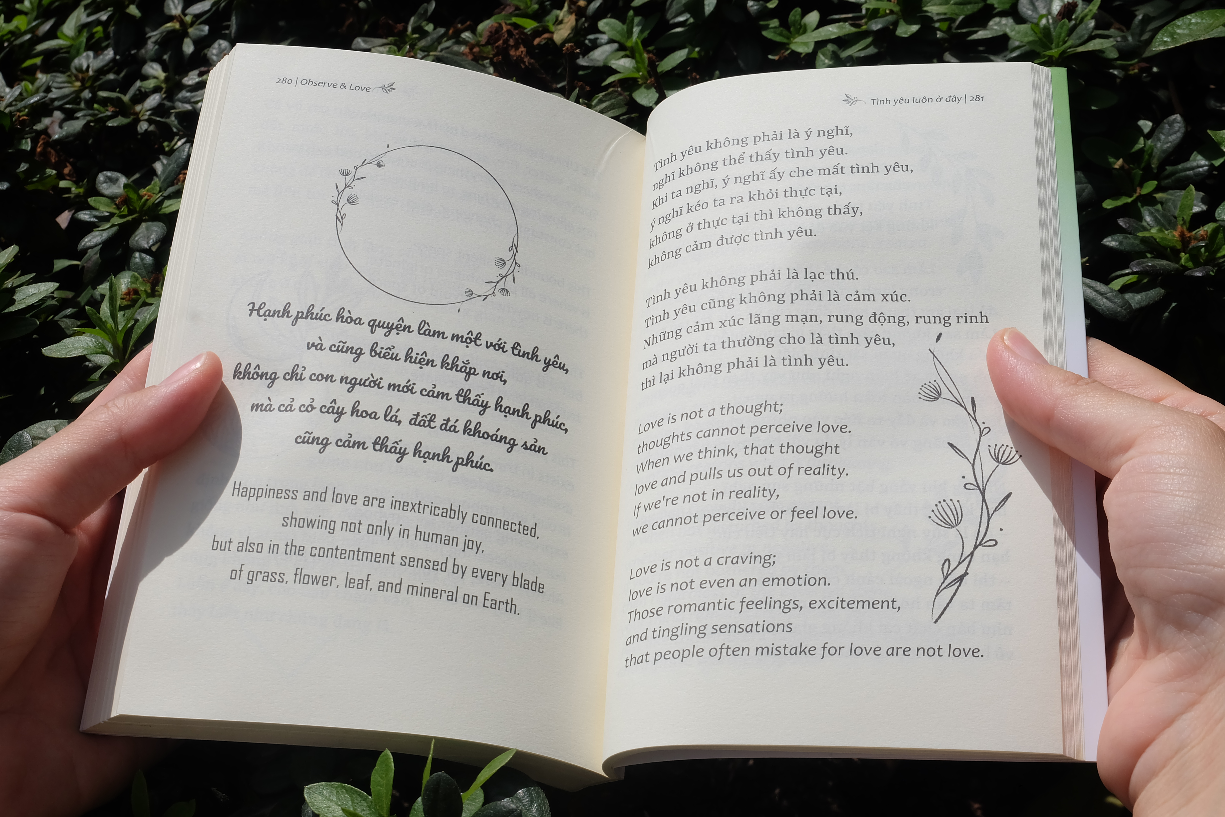 Observe And Love - Tình Yêu Luôn Ở Đây - Phiên Bản Song Ngữ - Ảnh 5