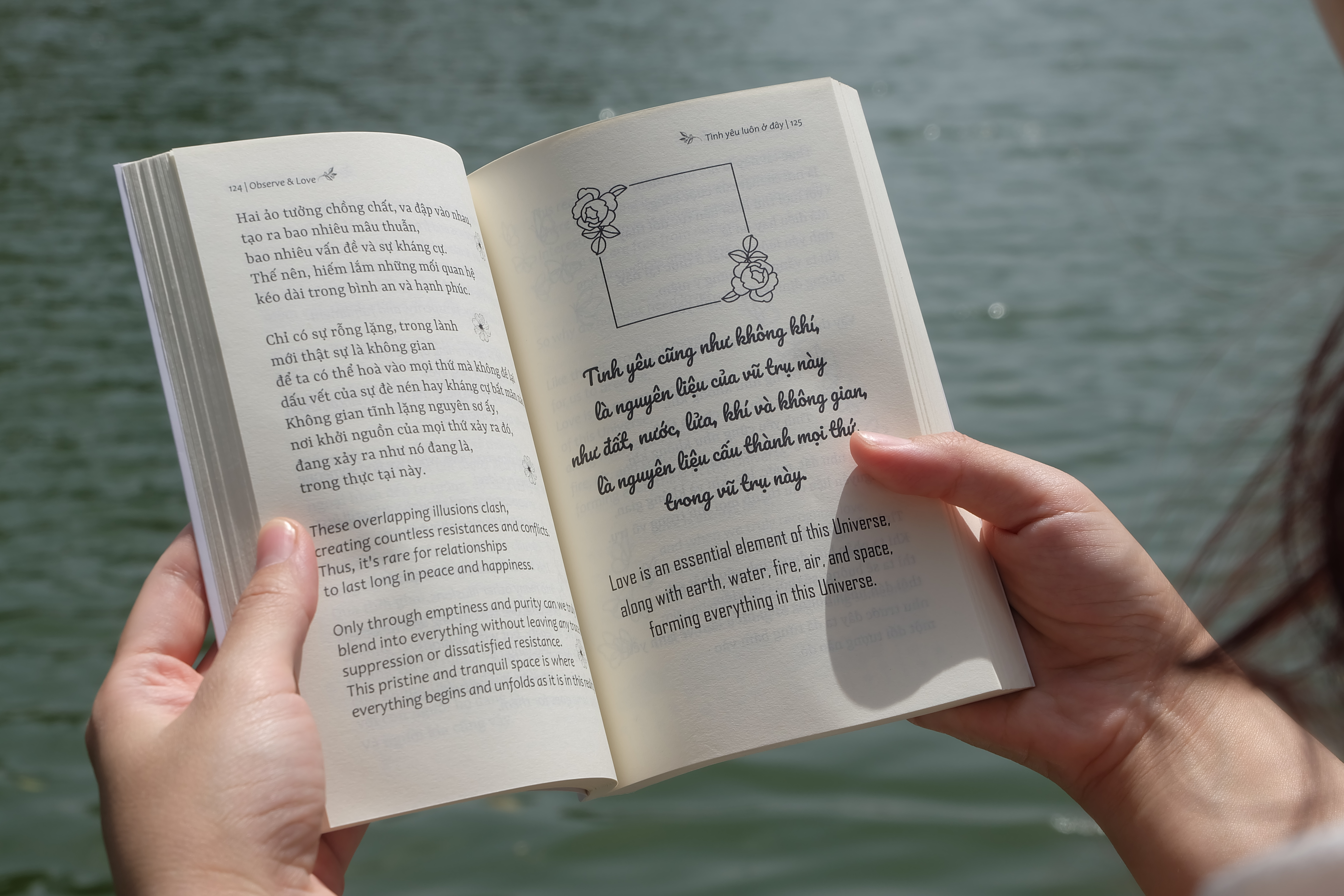 Observe And Love - Tình Yêu Luôn Ở Đây - Phiên Bản Song Ngữ - Ảnh 6