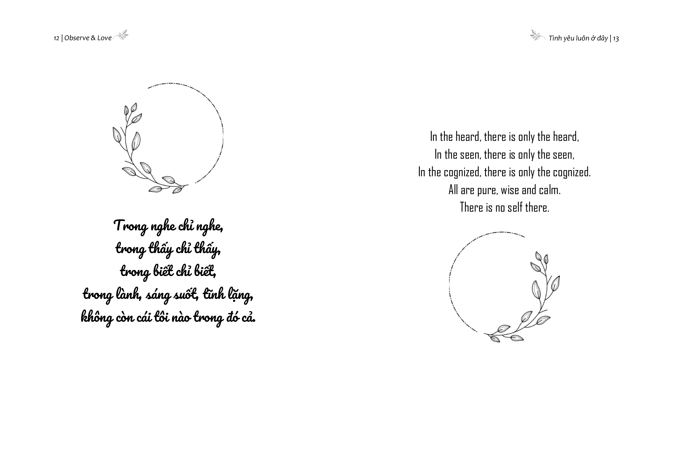 Observe And Love - Tình Yêu Luôn Ở Đây - Phiên Bản Song Ngữ - Ảnh 8