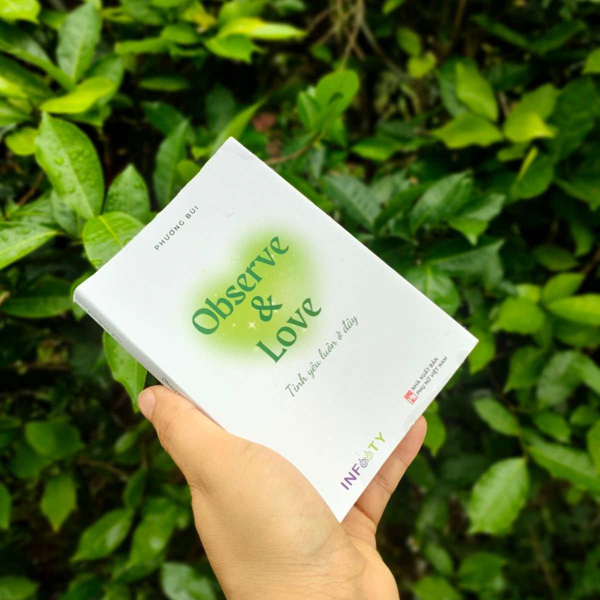 observe & love tình yêu luôn ở đây - Ảnh 10