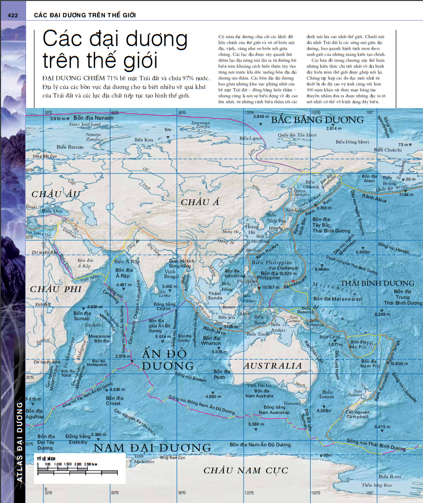 ocean - thuyết minh trực quan nhất về đại dương - Ảnh 3