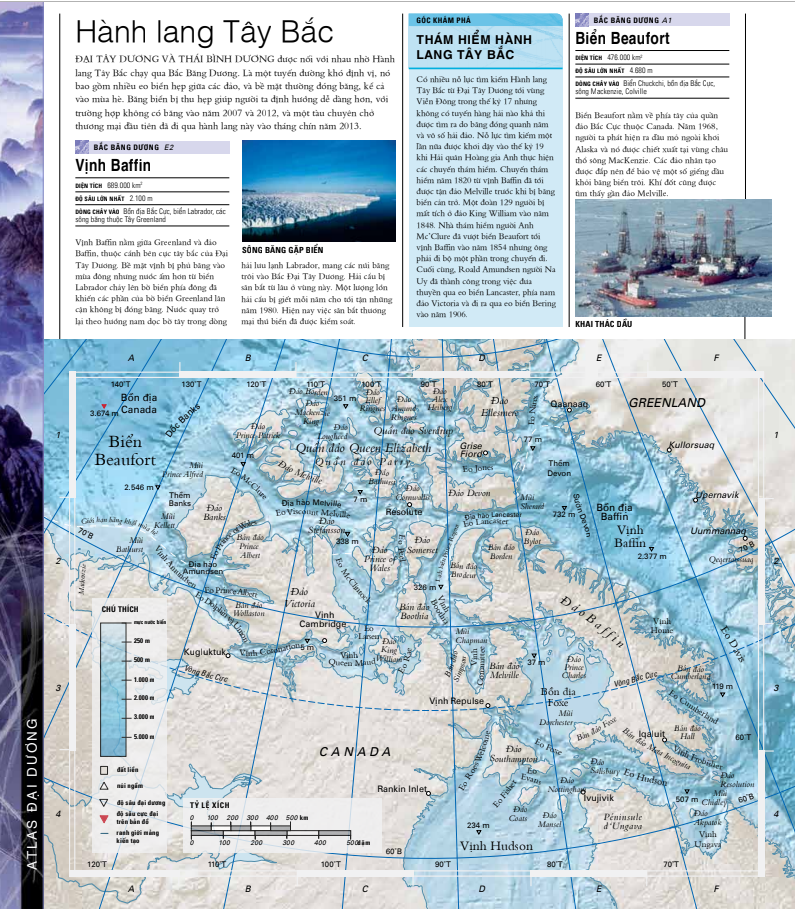 ocean - thuyết minh trực quan nhất về đại dương - Ảnh 4