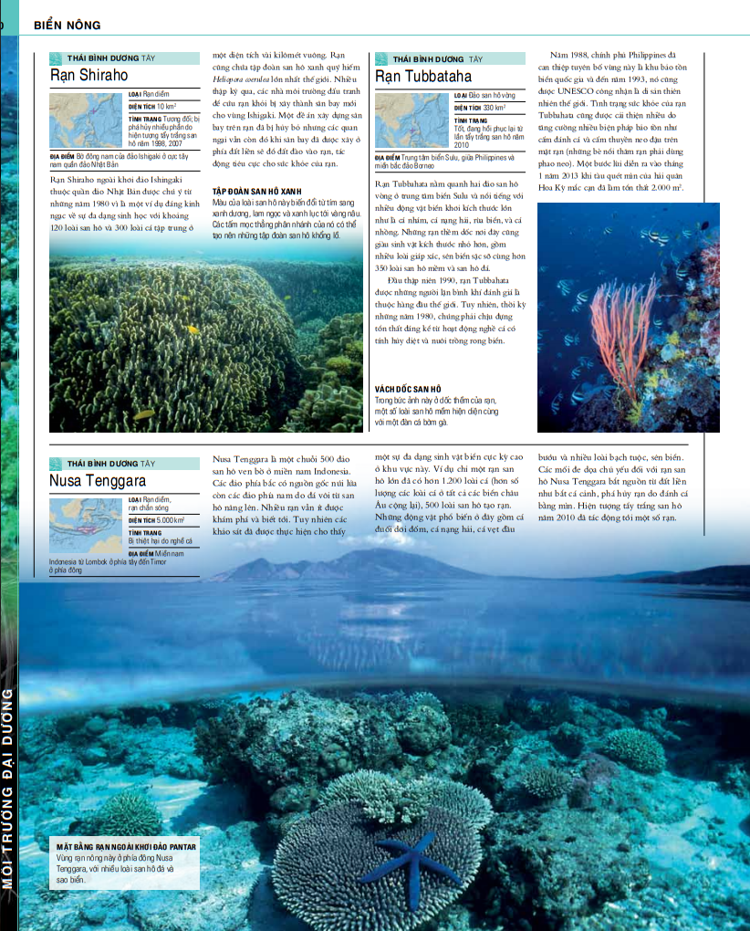 ocean - thuyết minh trực quan nhất về đại dương - Ảnh 6