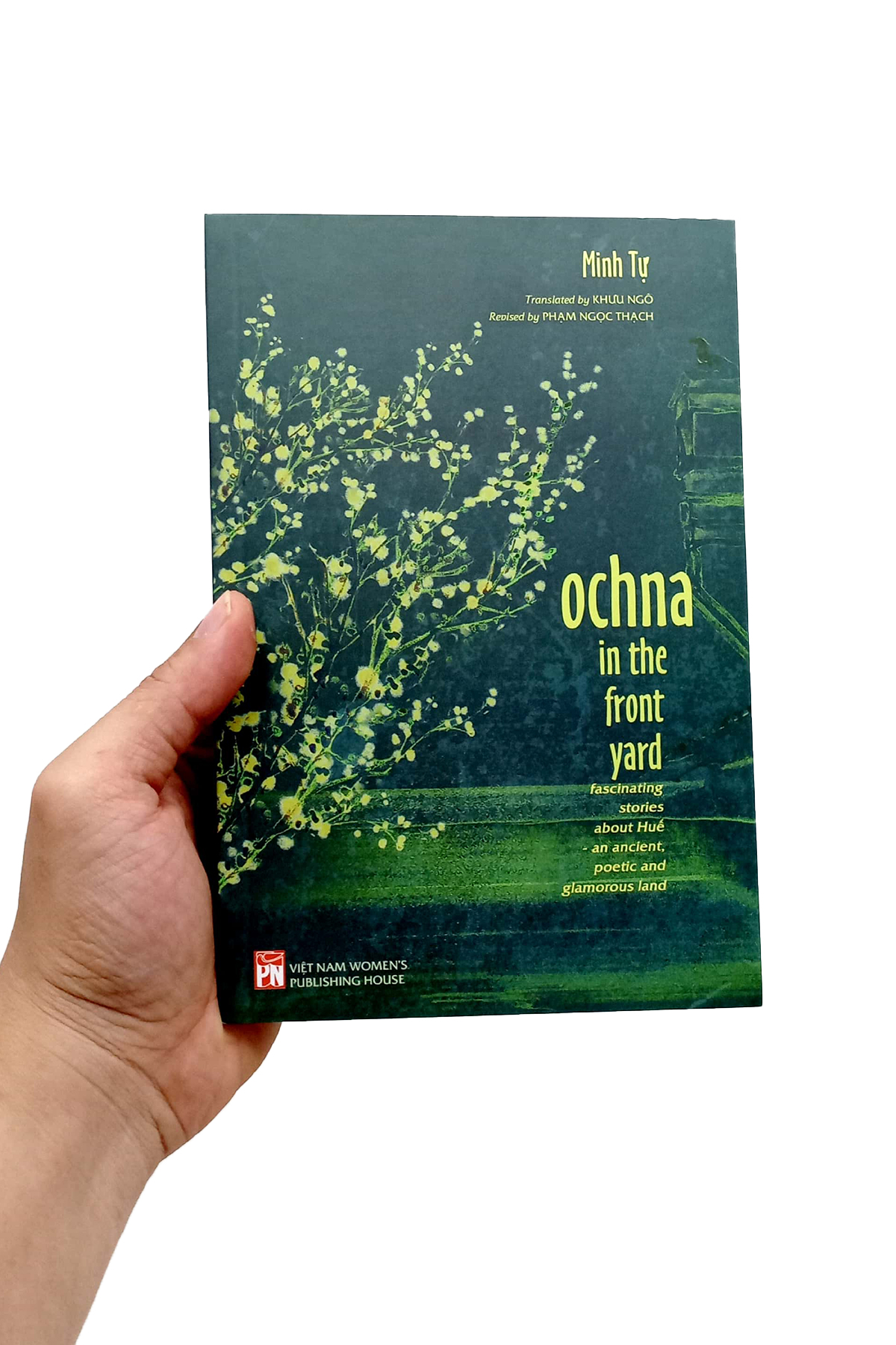 ochna in the front yard - fascinating stories about huế - an ancient, poetic and glamorous land - Ảnh 7