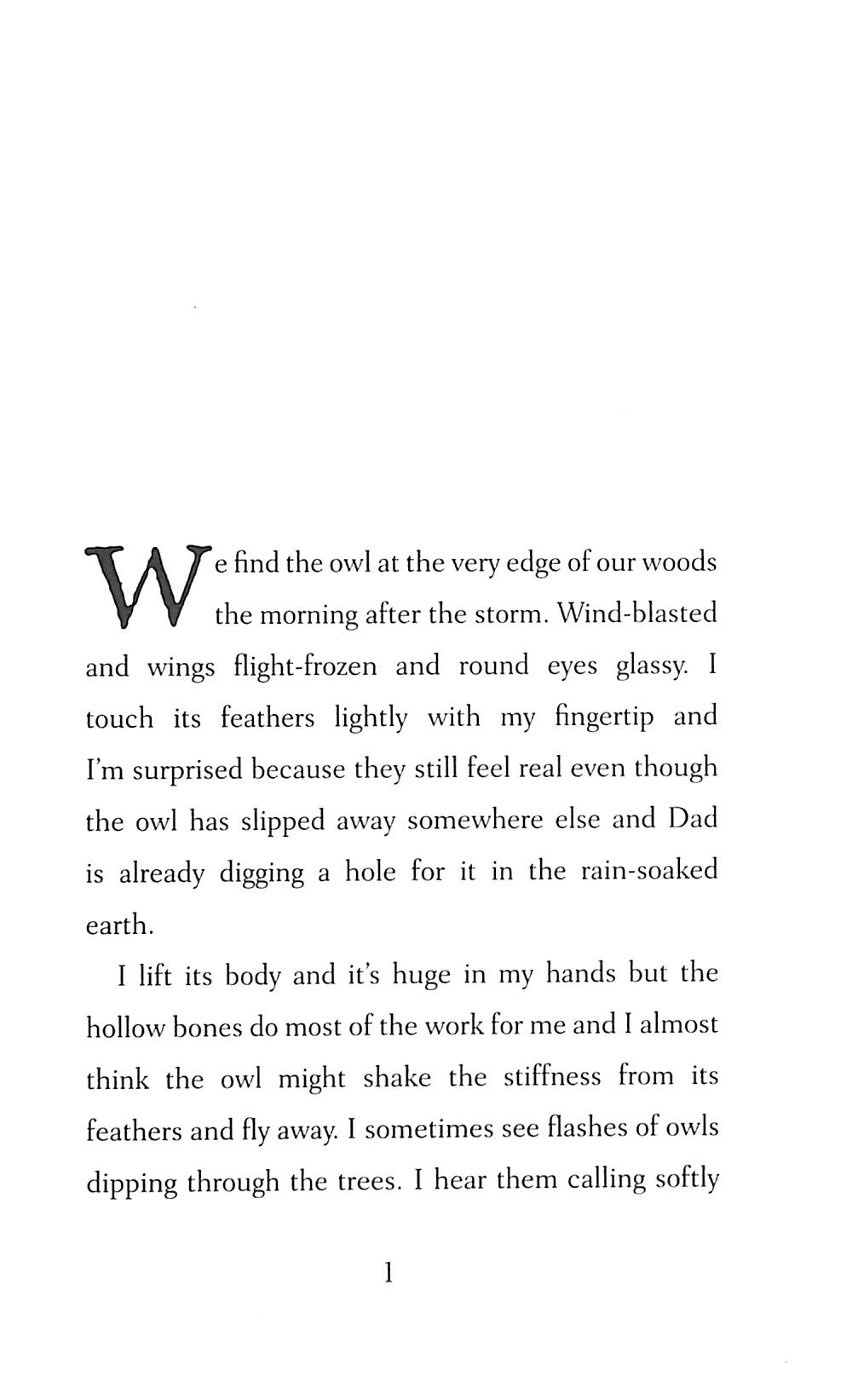 october, october - winner of the yoto carnegie medal 2022 - Ảnh 4