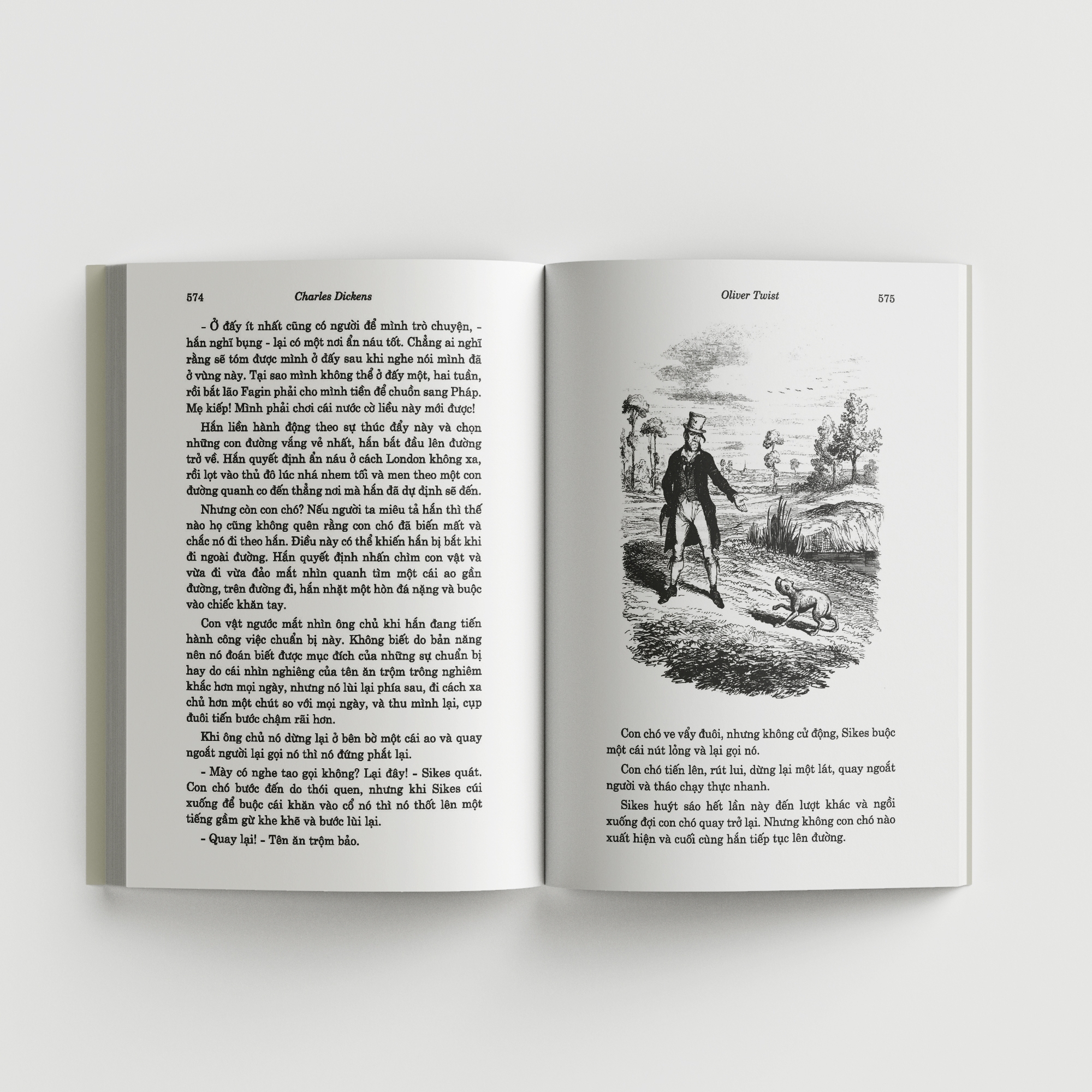 oliver twist - Ảnh 5