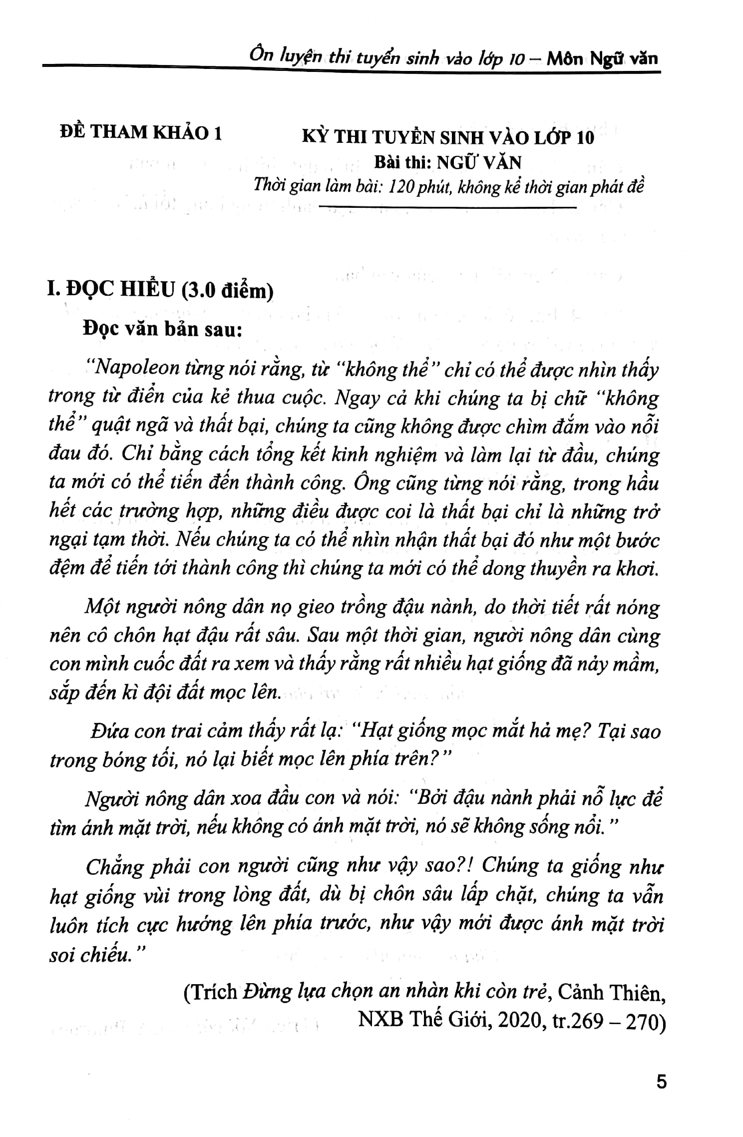 ôn luyện thi tuyển sinh vào lớp 10 - môn ngữ văn - Ảnh 4
