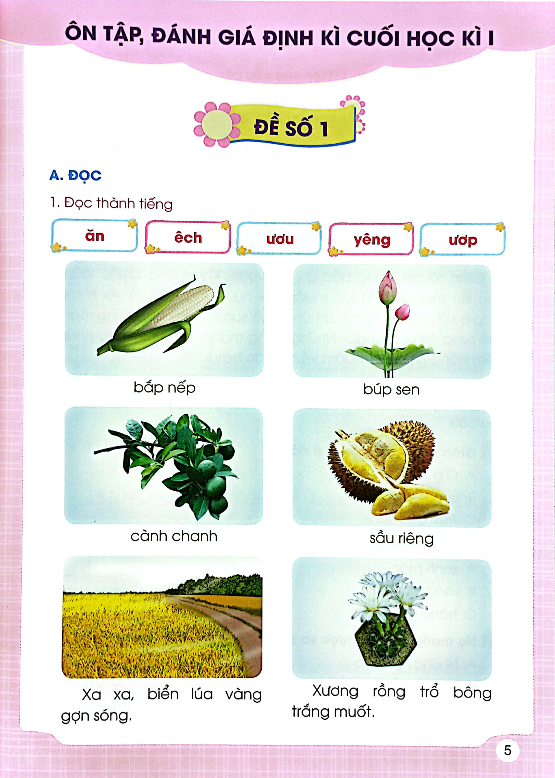 ôn tập, đánh giá định kì môn tiếng việt lớp 1 (bộ sách chân trời sáng tạo) (2023) - Ảnh 4