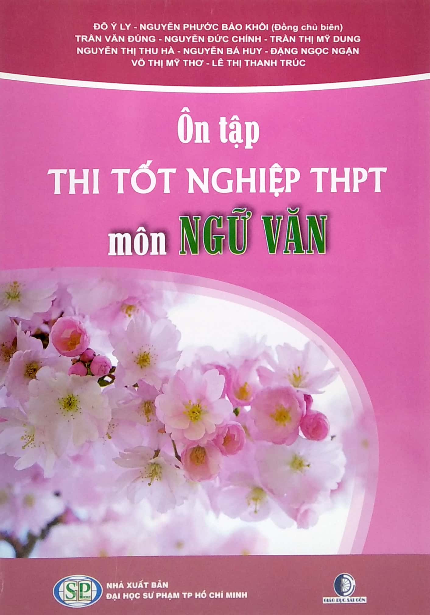 ôn tập thi tốt nghiệp thpt - môn ngữ văn - Ảnh 2