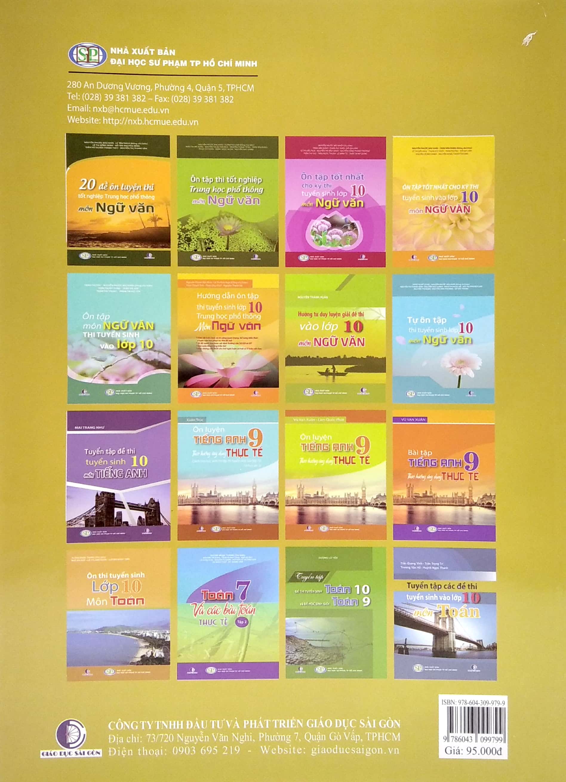 ôn tập tốt nhất cho kỳ thi tuyển sinh lớp 10 - môn ngữ văn - Ảnh 6